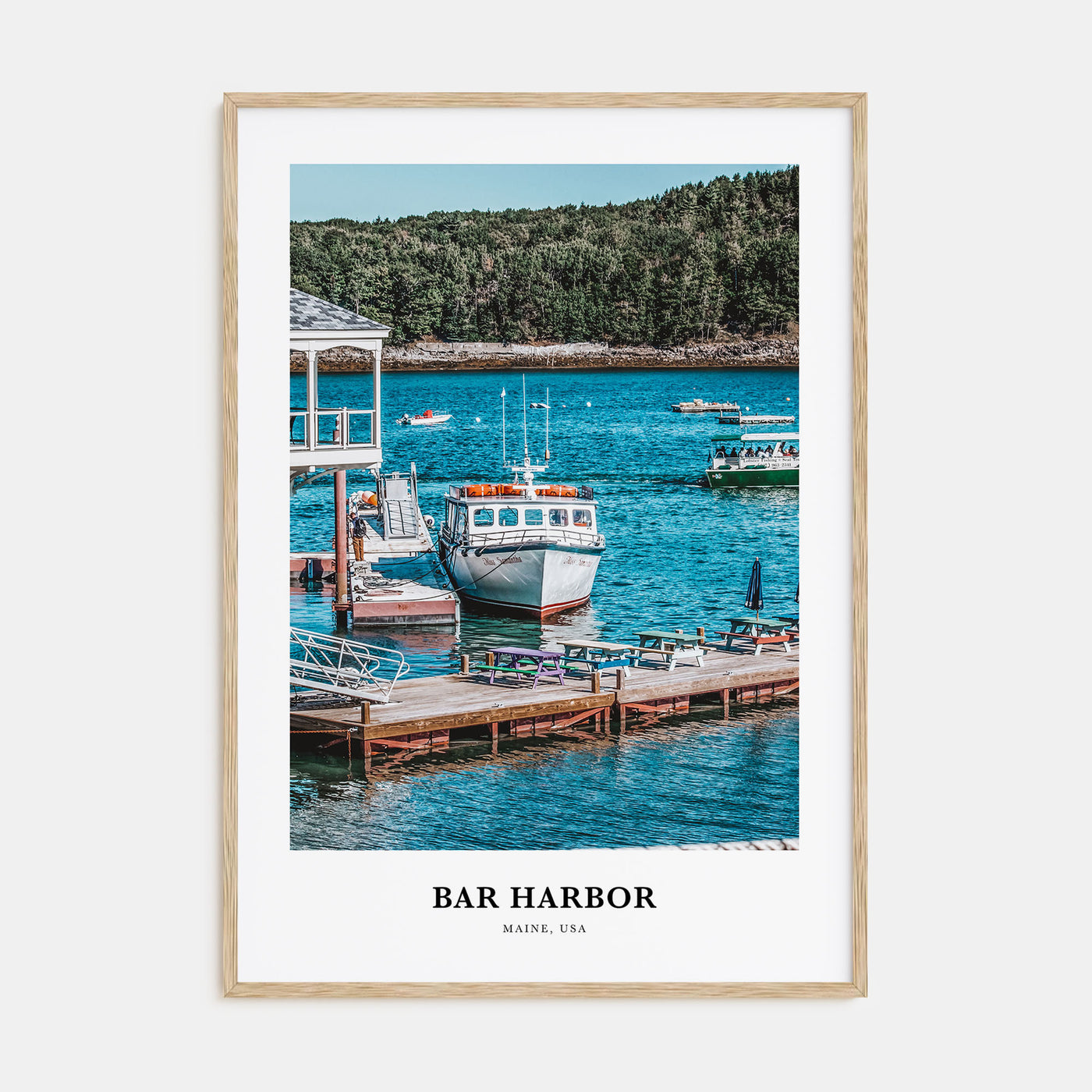 Bar Harbor Portrait Color No 2 Poster