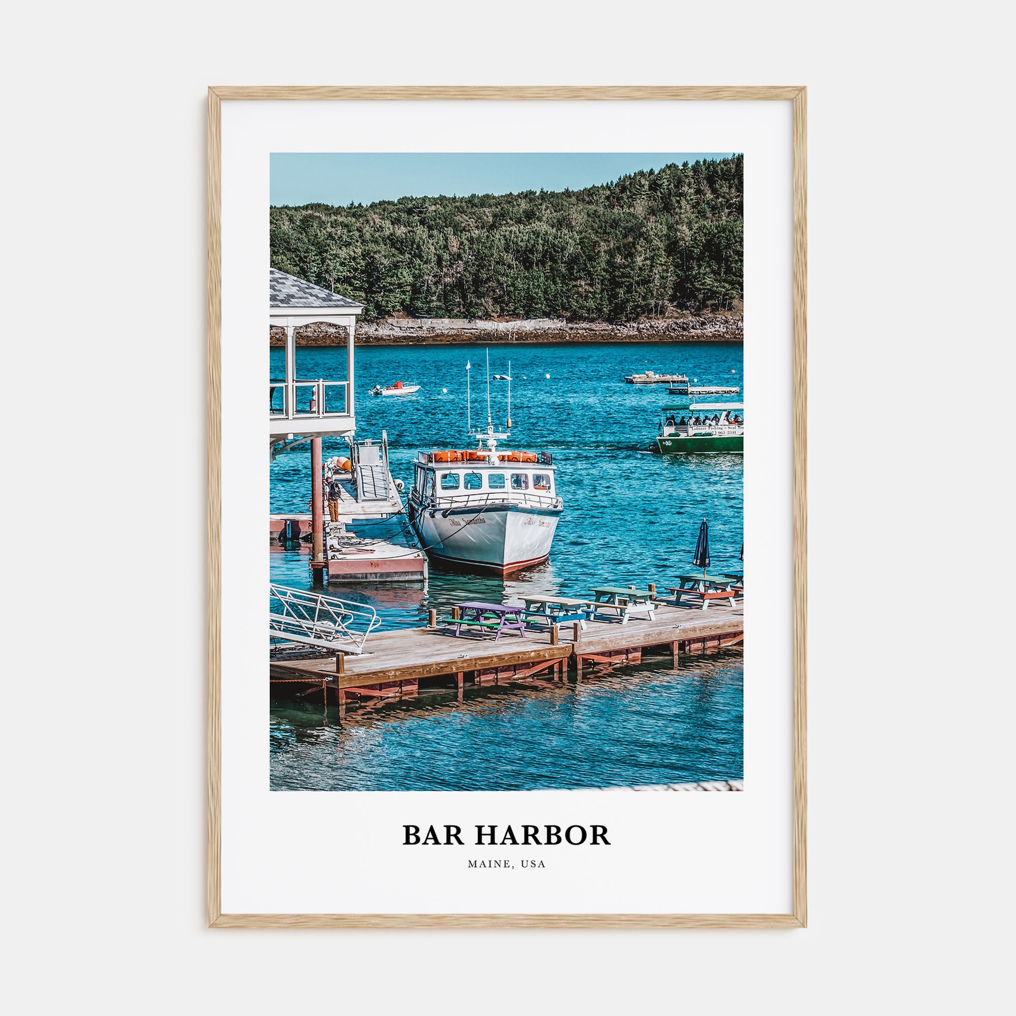 Bar Harbor Portrait Color No 2 Poster