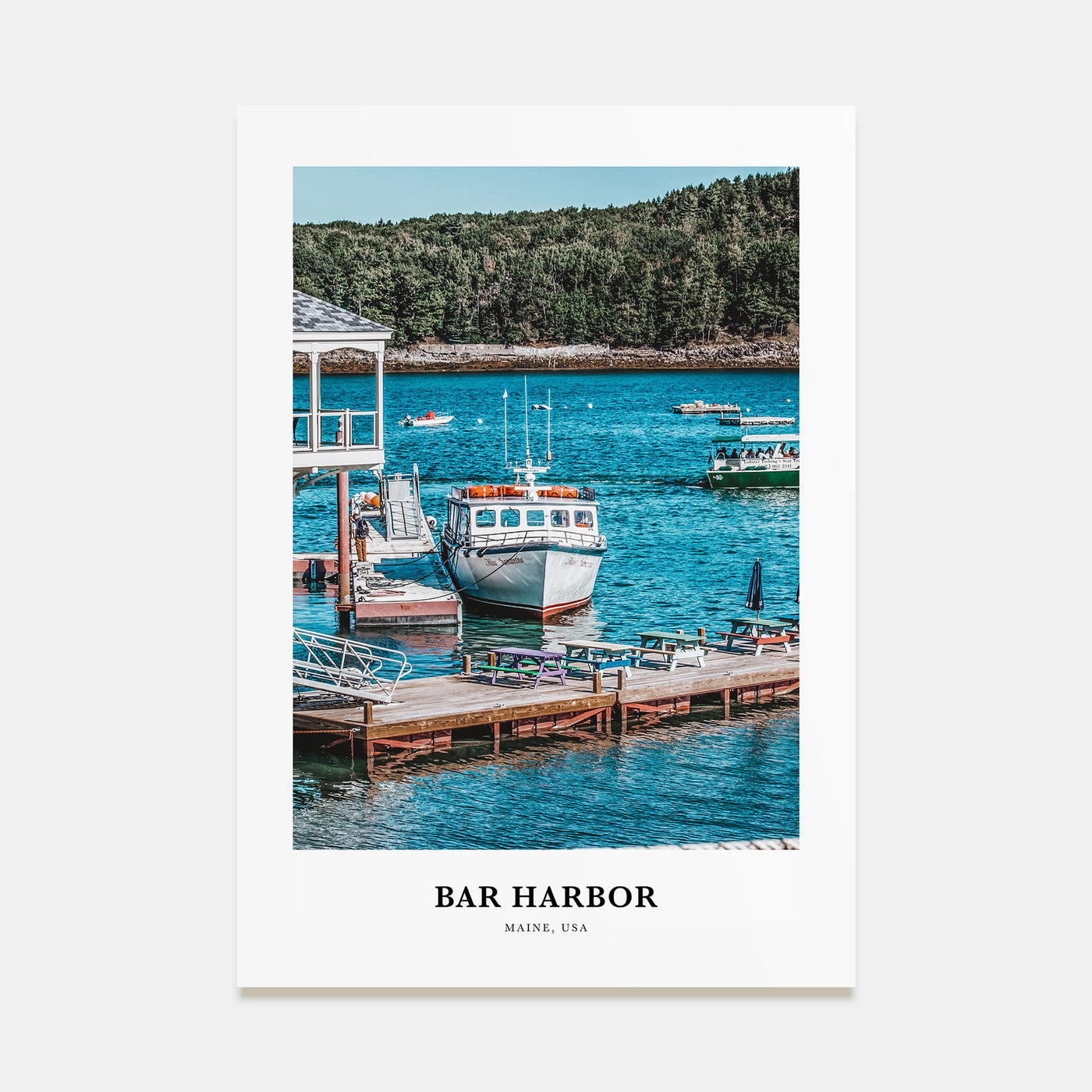 Bar Harbor Portrait Color No 2 Poster