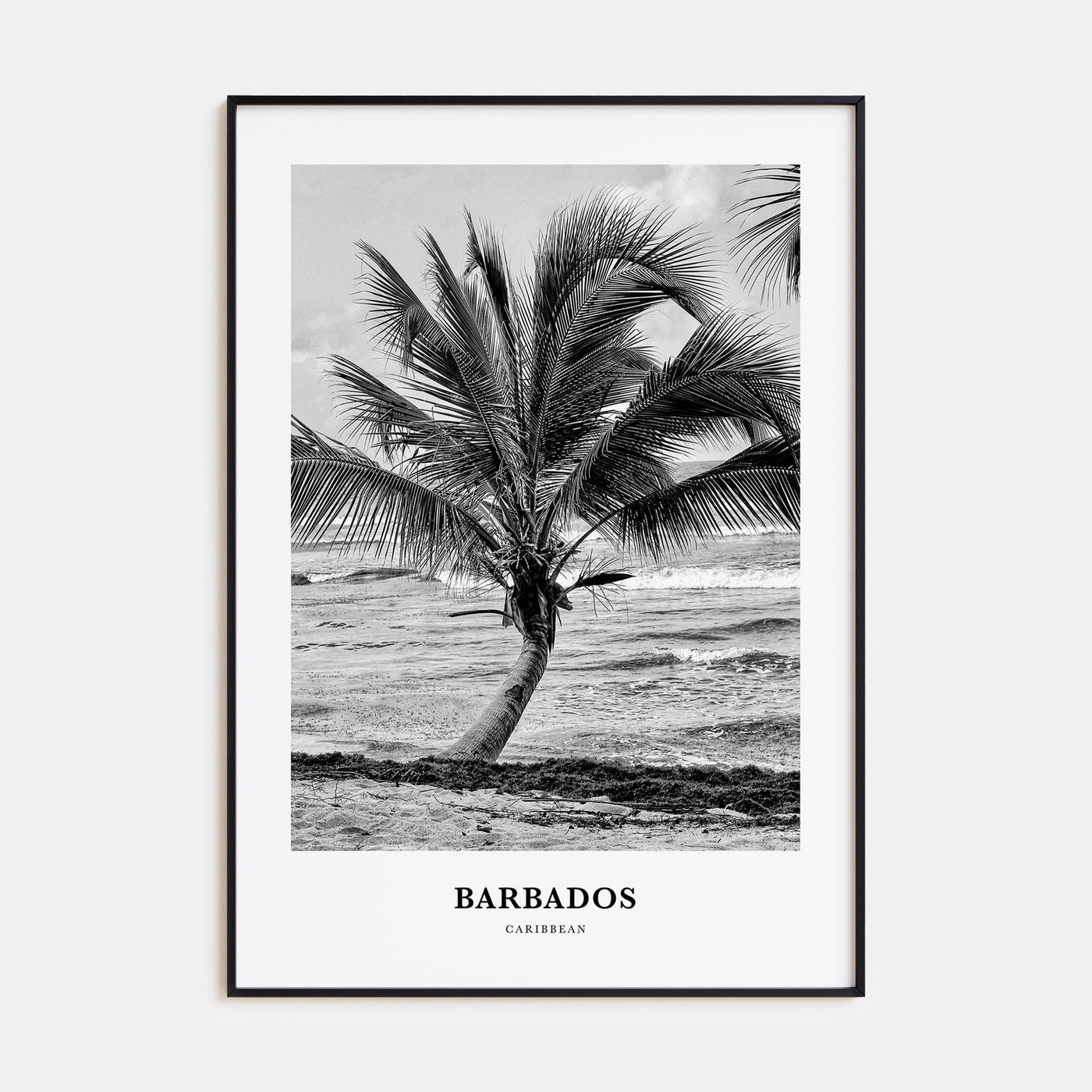 Barbados Portrait B&W No 1 Poster