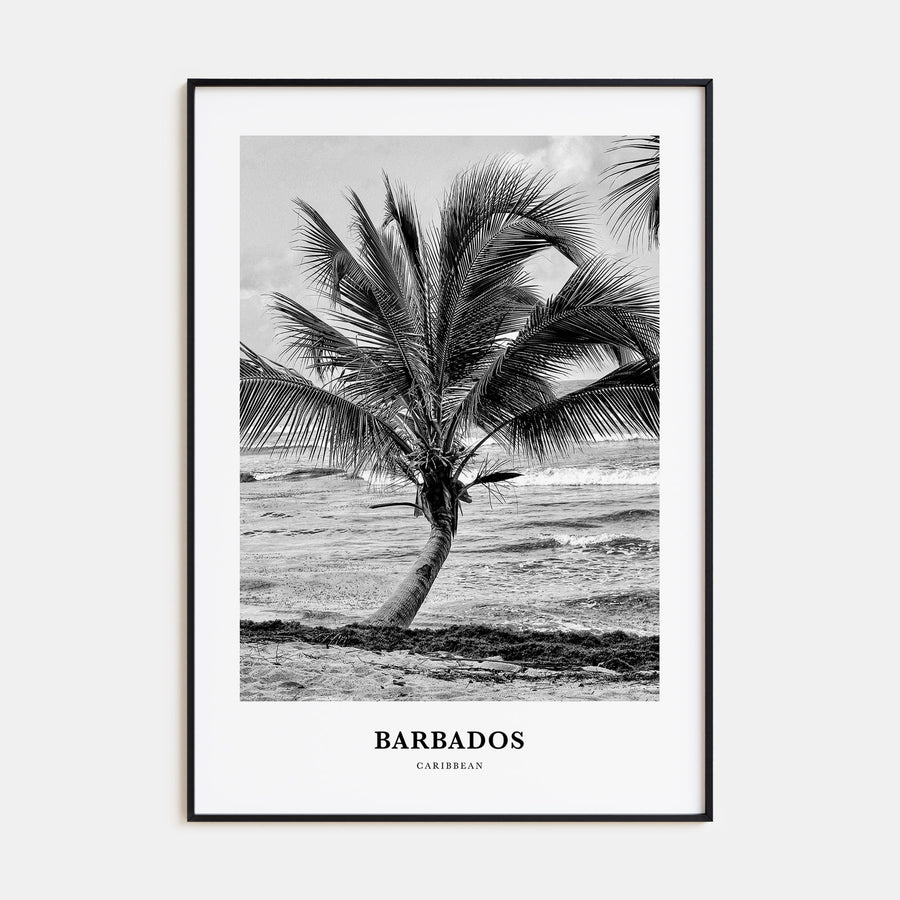 Barbados Portrait B&W No 1 Poster