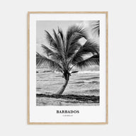 Barbados Portrait B&W No 1 Poster