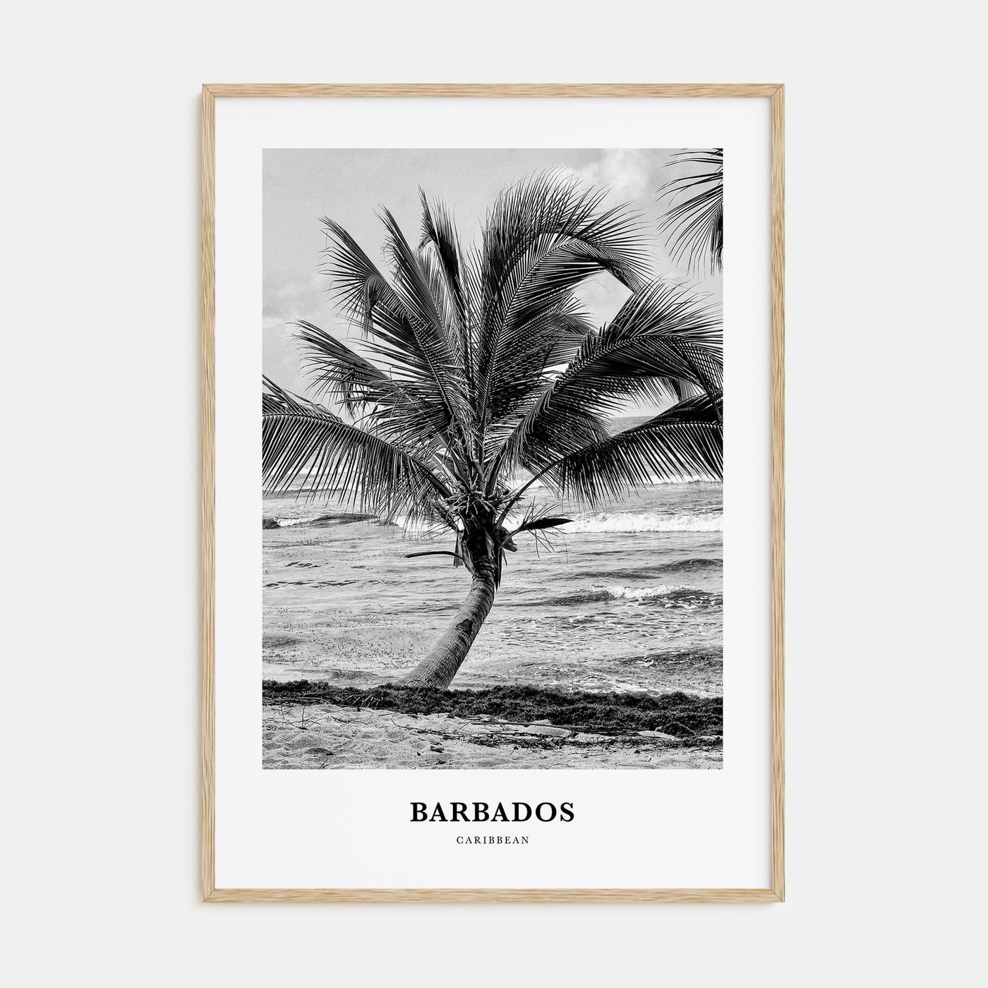 Barbados Portrait B&W No 1 Poster