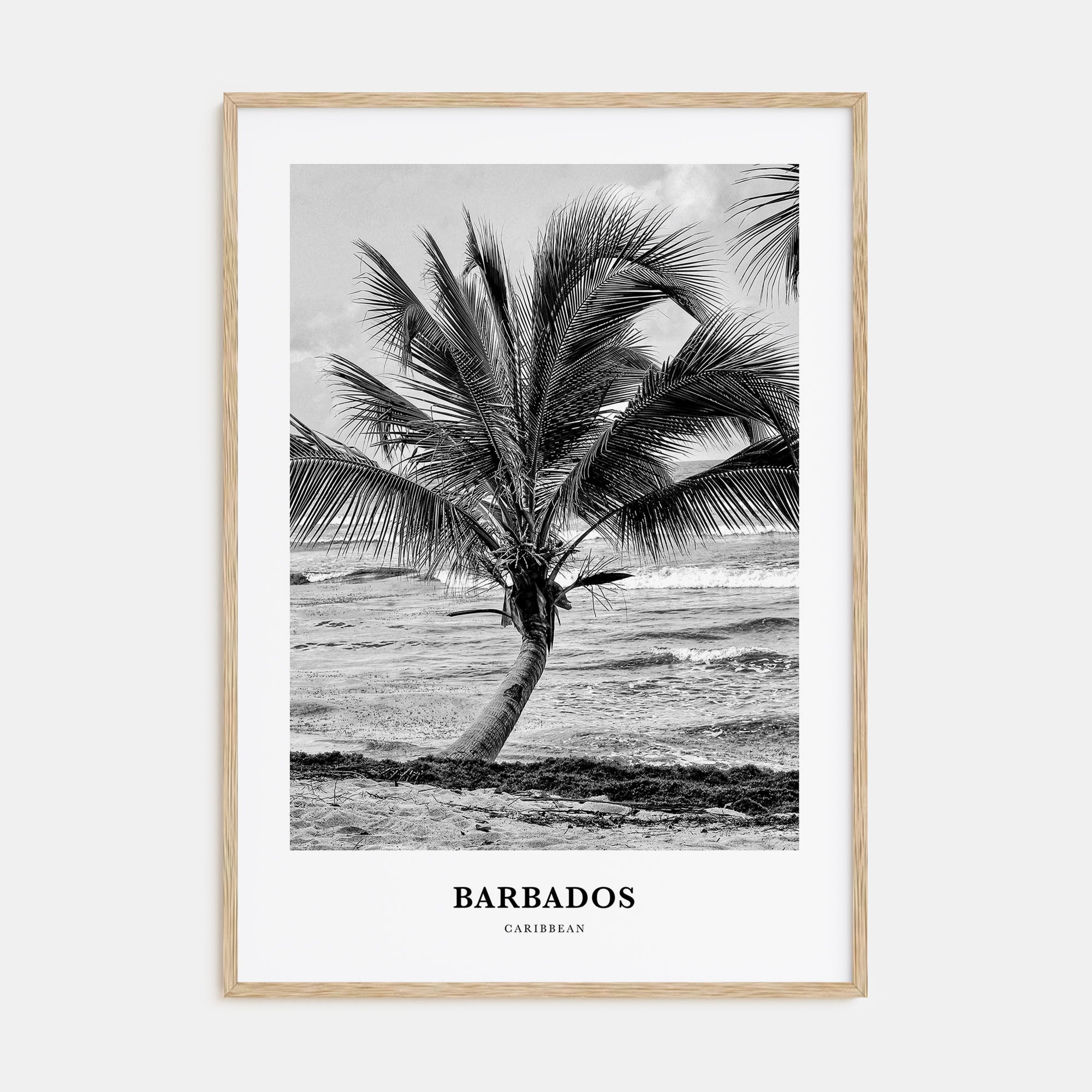 Barbados Portrait B&W No 1 Poster