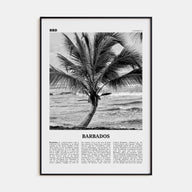 Barbados Travel B&W No 2 Poster