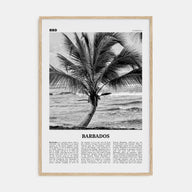 Barbados Travel B&W No 2 Poster