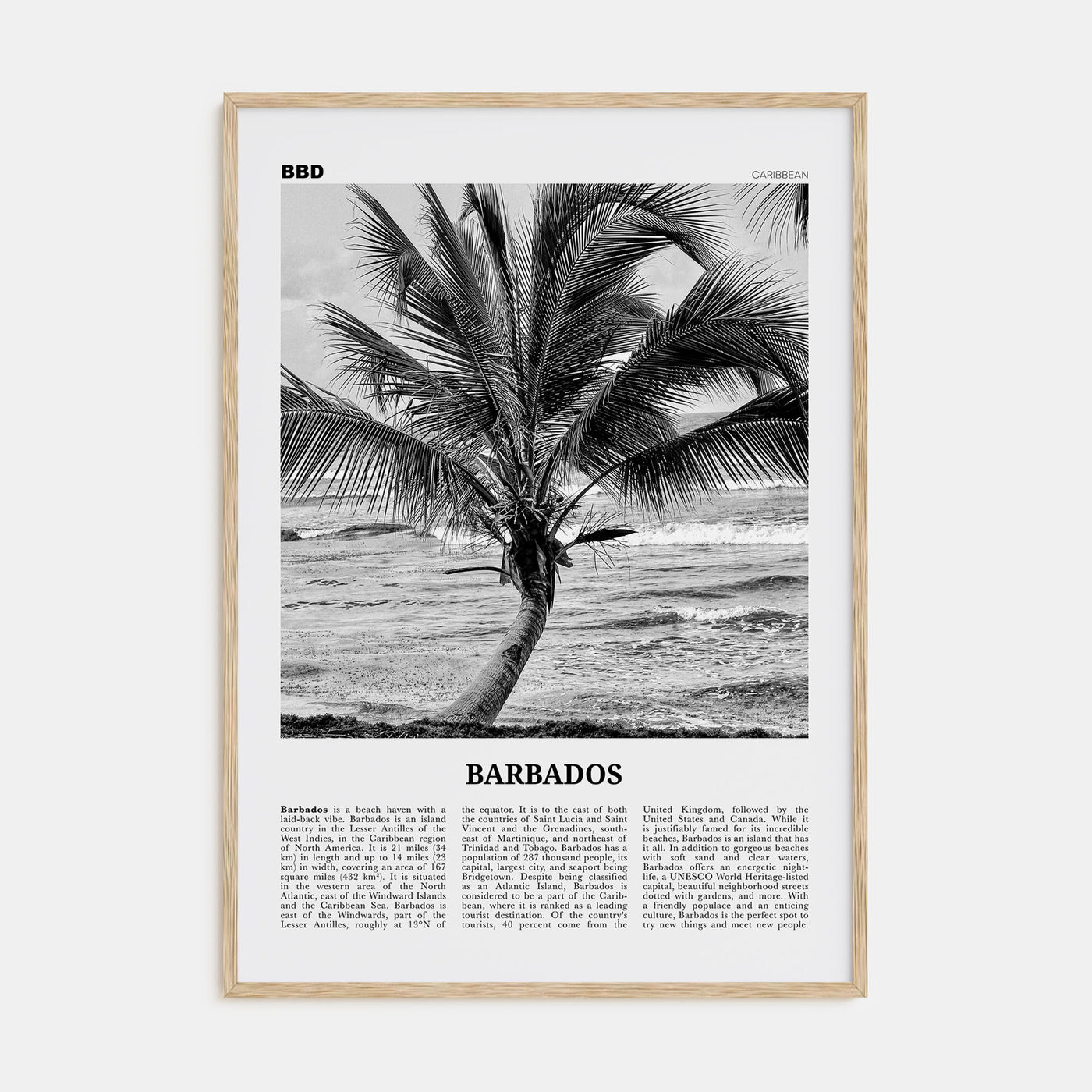 Barbados Travel B&W No 2 Poster