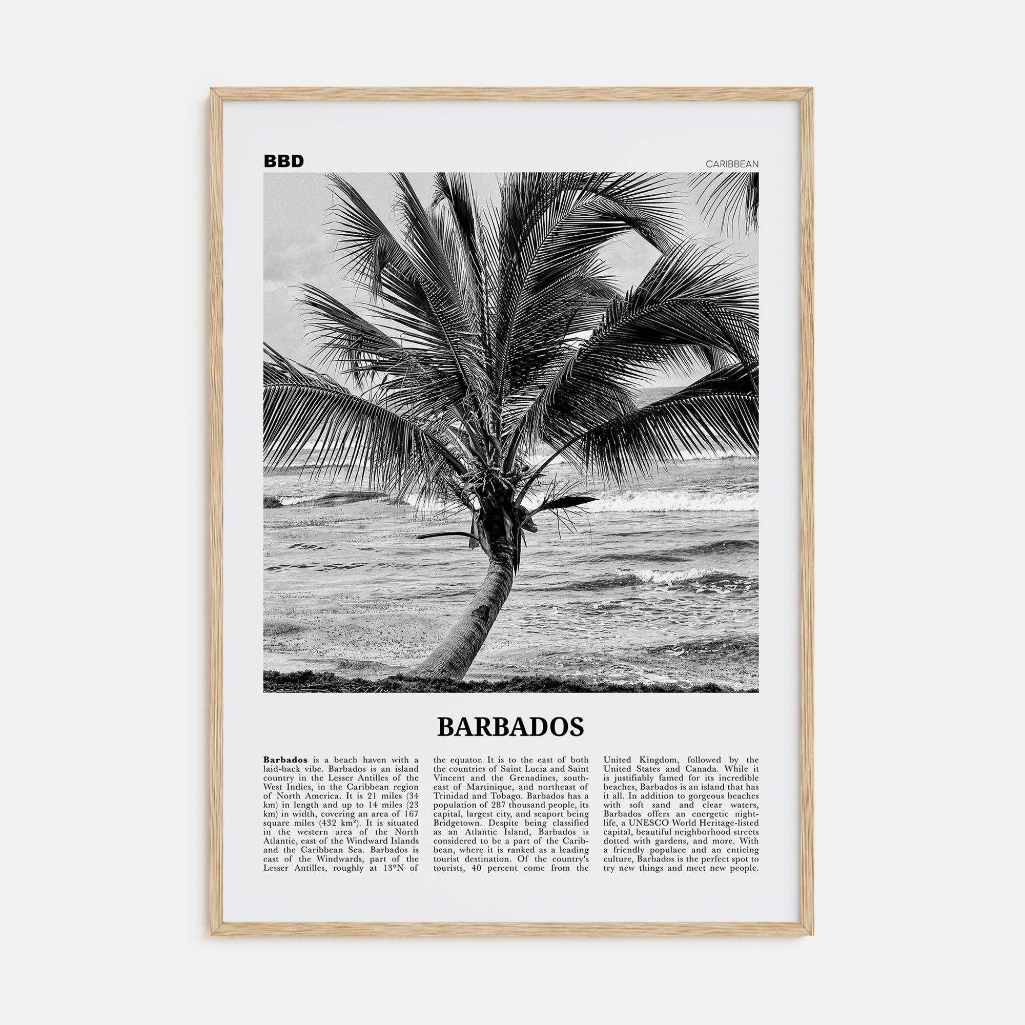 Barbados Travel B&W No 2 Poster