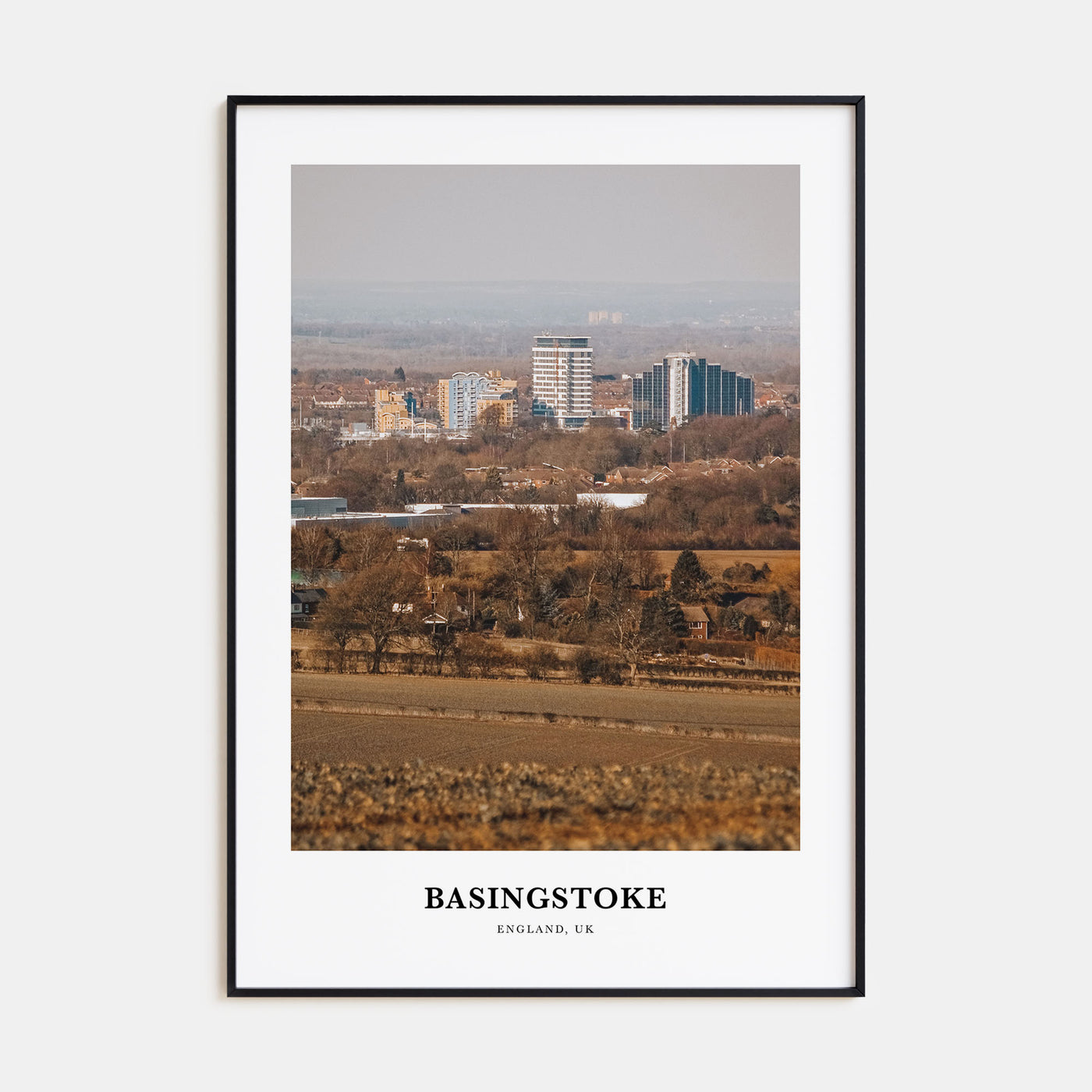 Basingstoke Portrait Color Poster