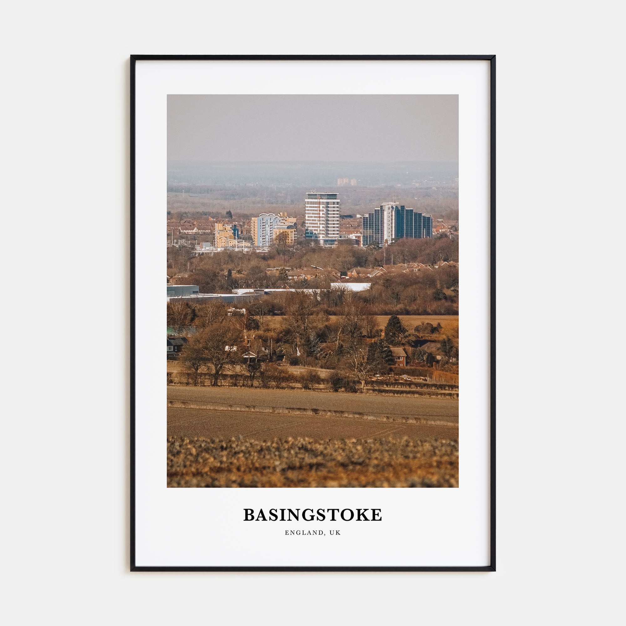 Basingstoke Portrait Color Poster