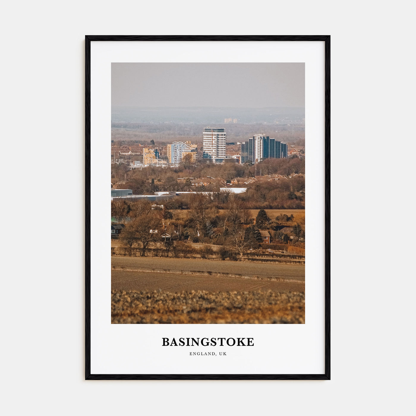 Basingstoke Portrait Color Poster
