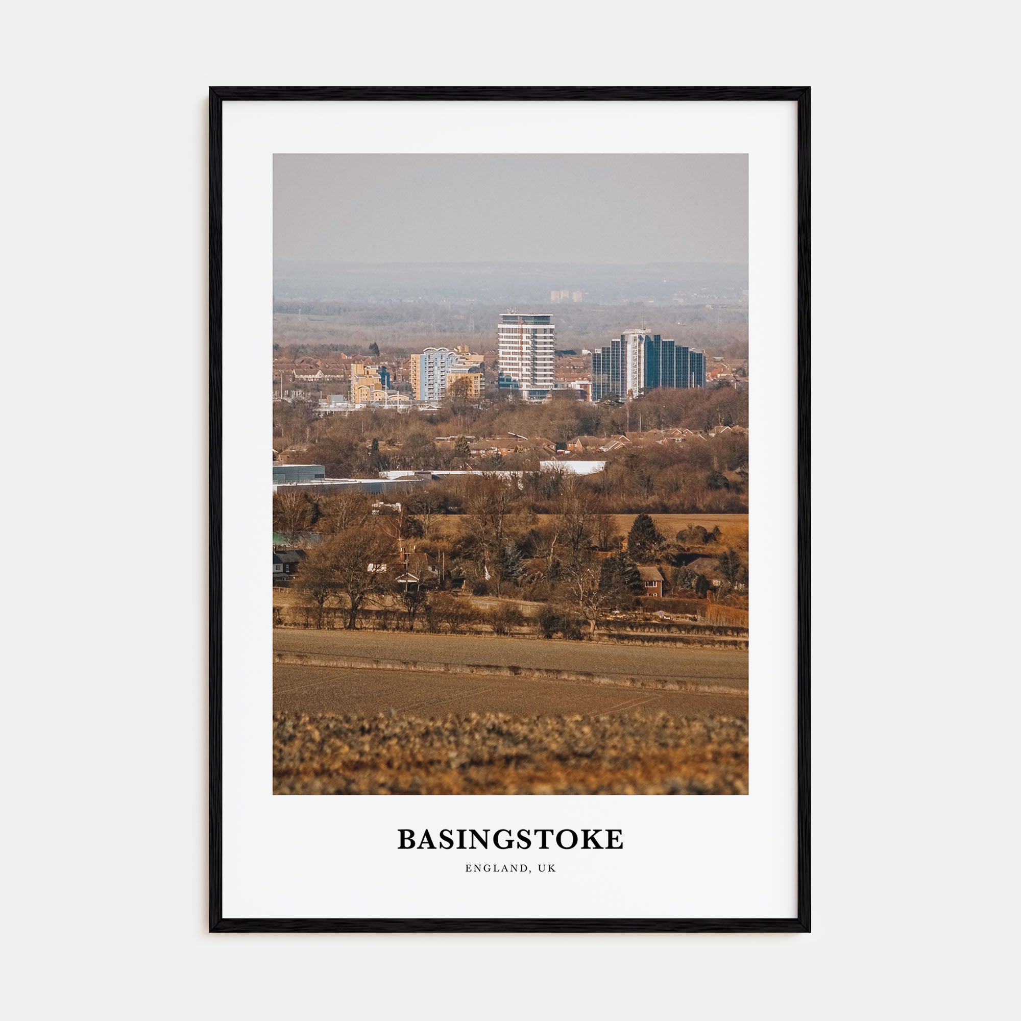 Basingstoke Portrait Color Poster