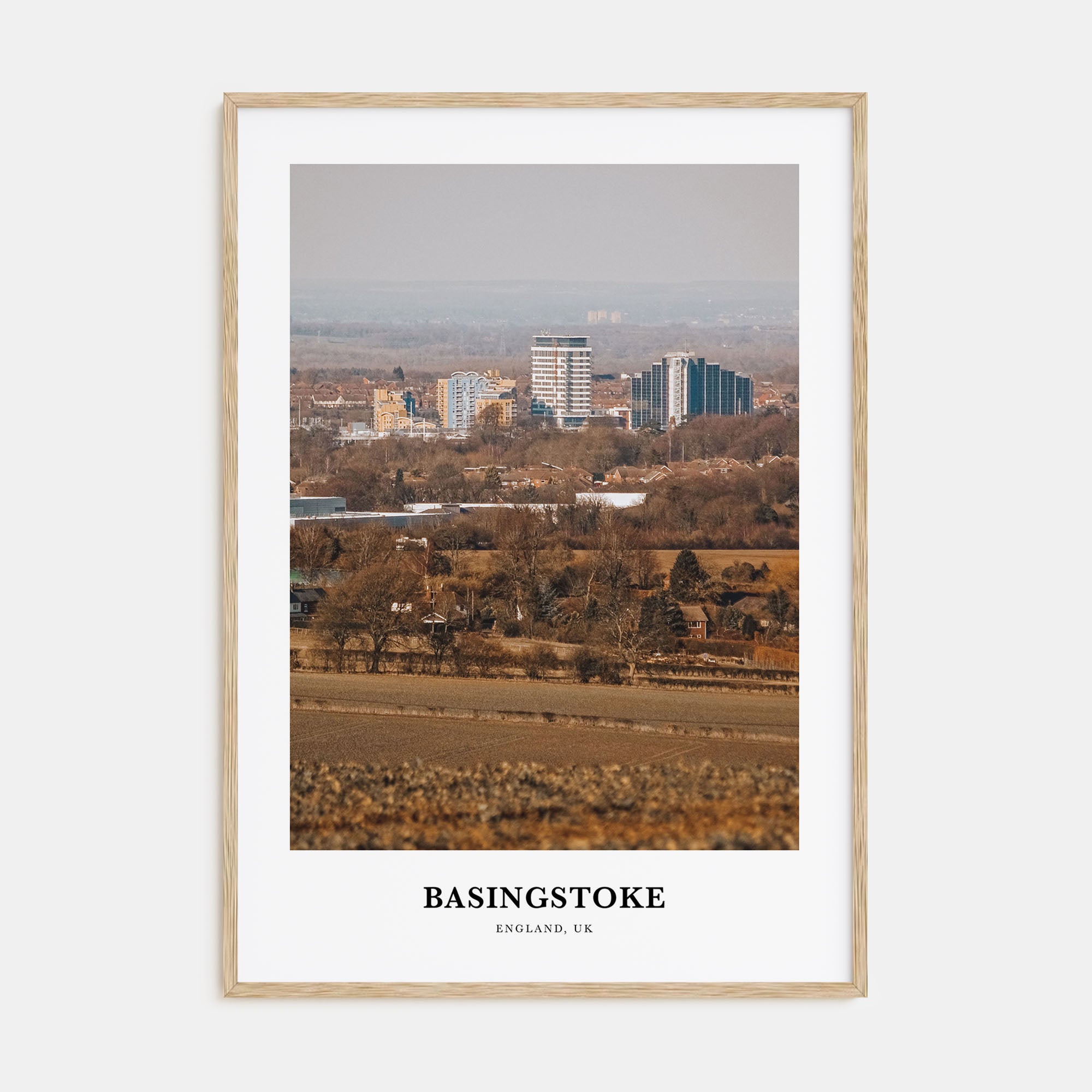 Basingstoke Portrait Color Poster