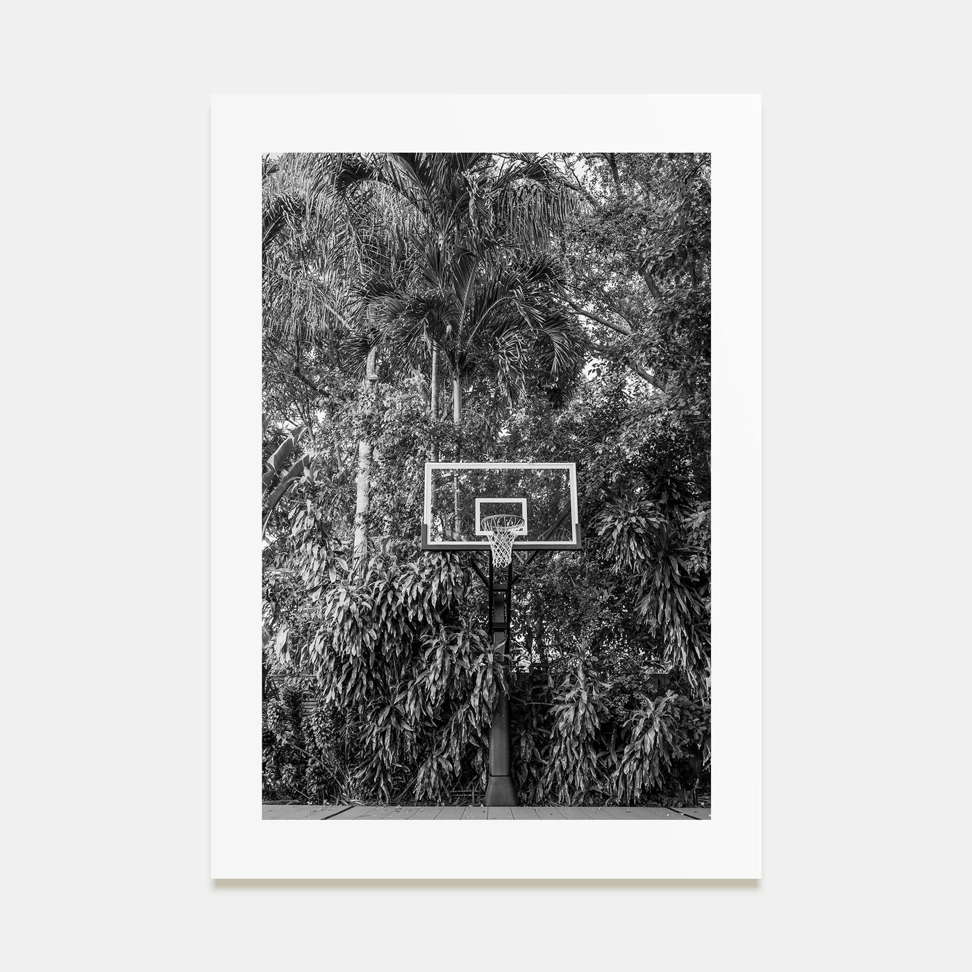 Basketball Court Photo B&W No 2 Poster