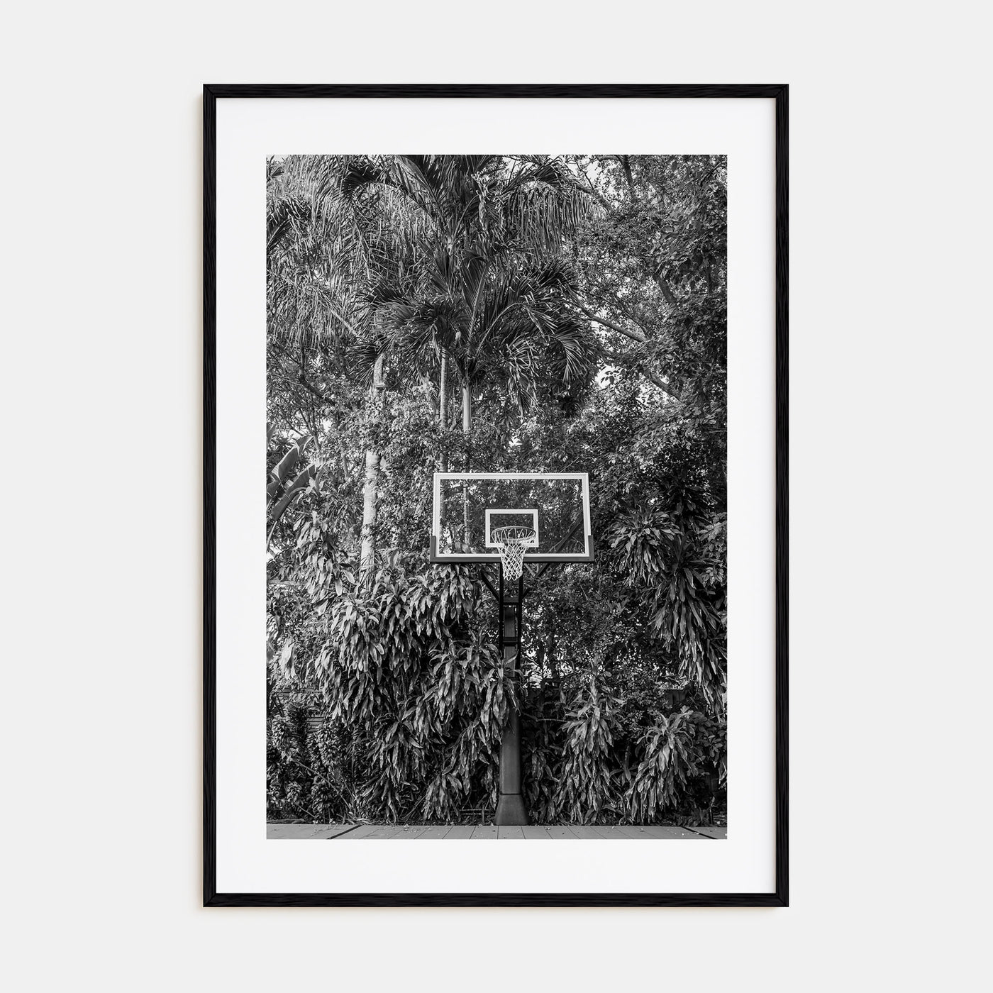 Basketball Court Photo B&W No 2 Poster