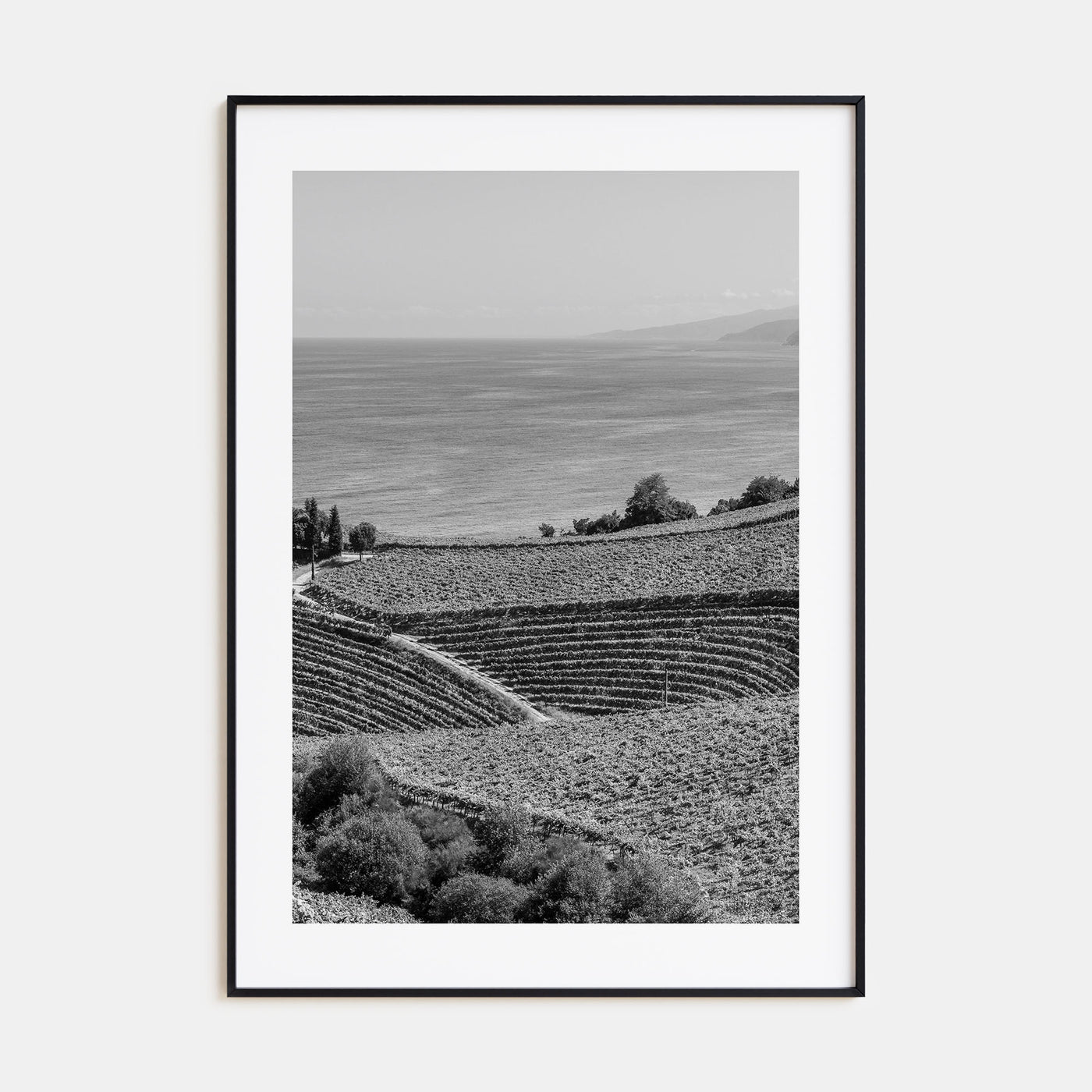 Basque Country Photo B&W Poster