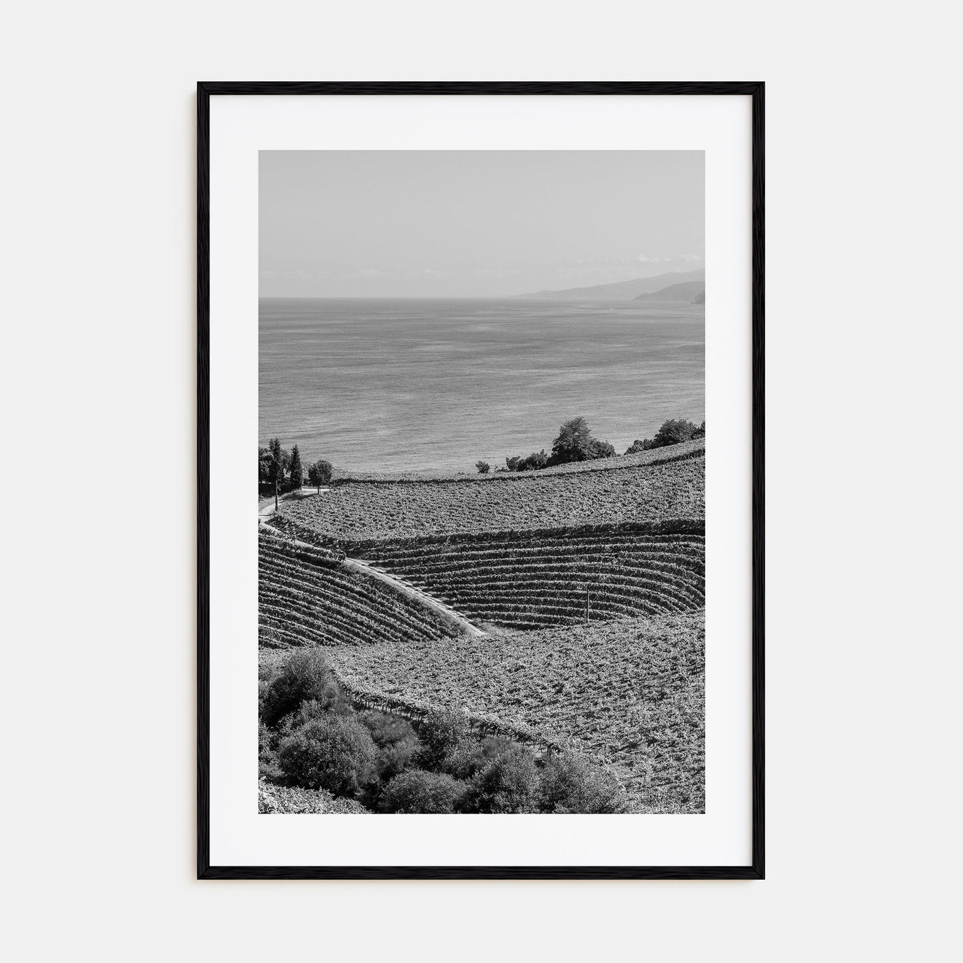 Basque Country Photo B&W Poster