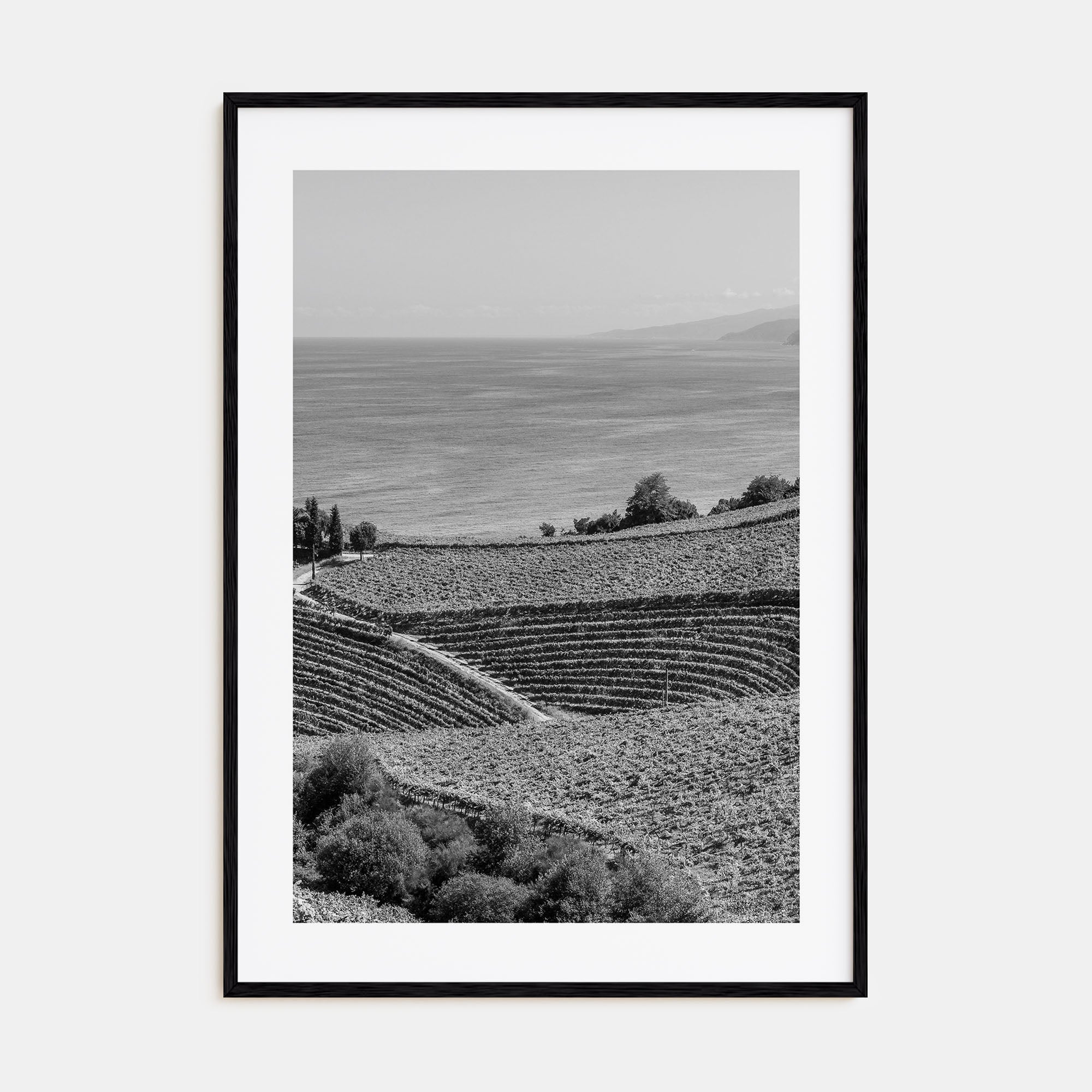 Basque Country Photo B&W Poster