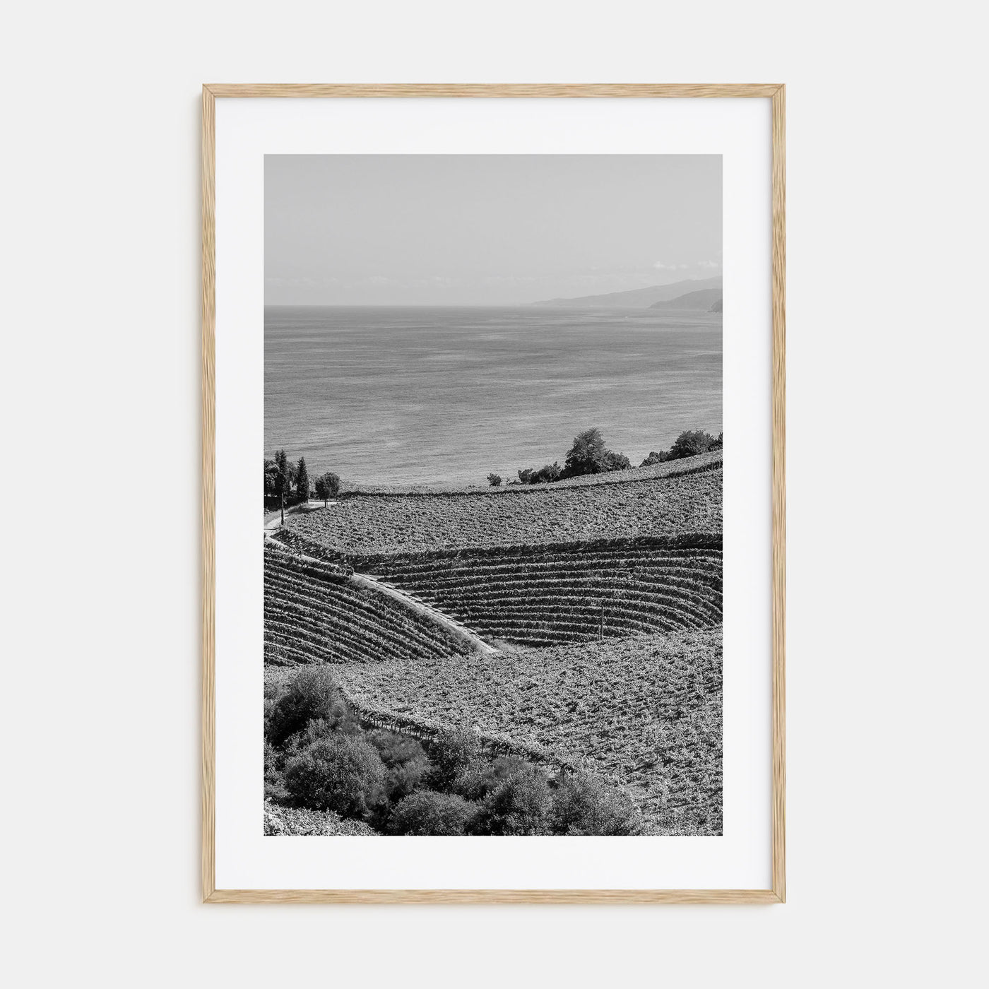 Basque Country Photo B&W Poster