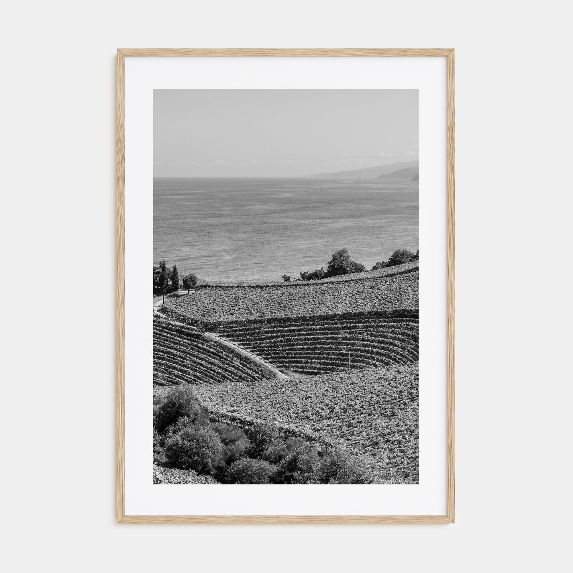Basque Country Photo B&W Poster