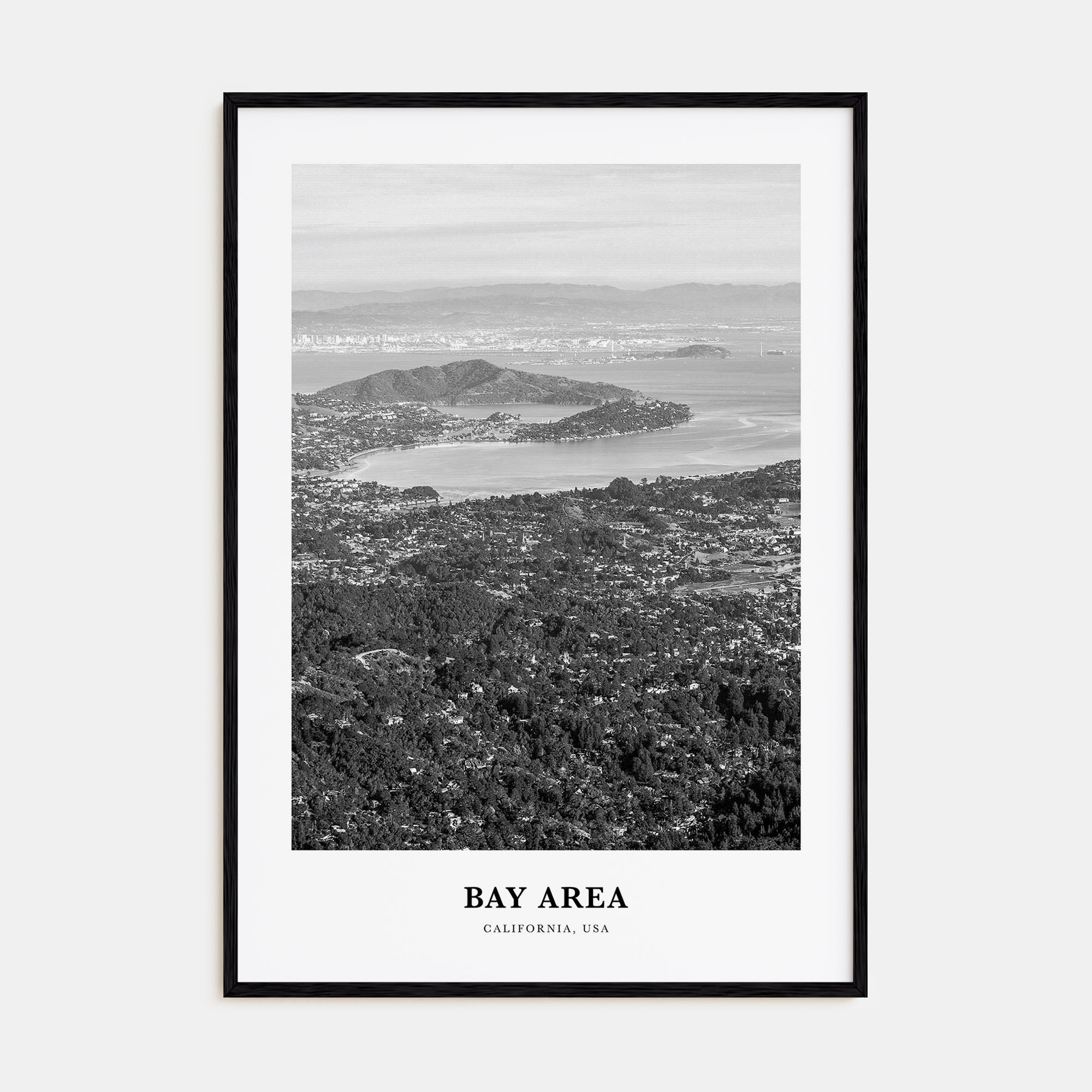 Bay Area Portrait B&W No 2 Poster
