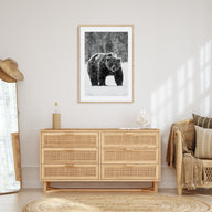 Bear Photo B&W No 2 Poster