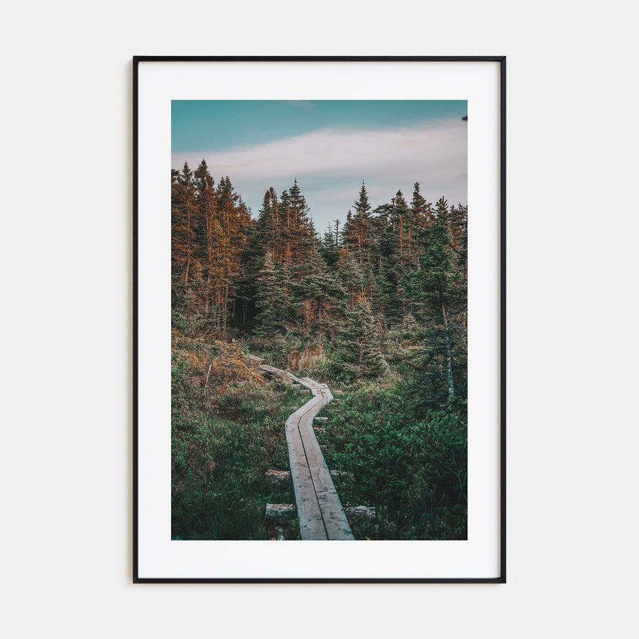 Beautiful Forest Trail Photo Color Poster