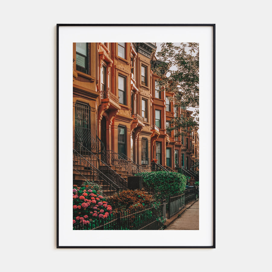 Bedford-Stuyvesant Photo Color Poster