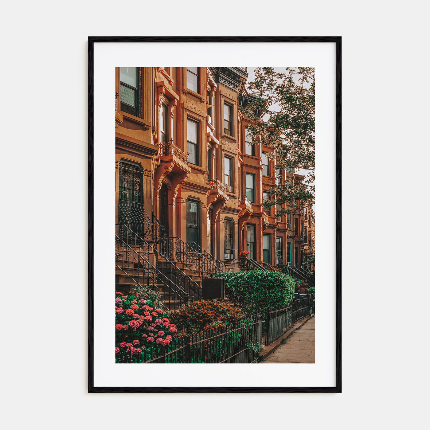 Bedford-Stuyvesant Photo Color Poster