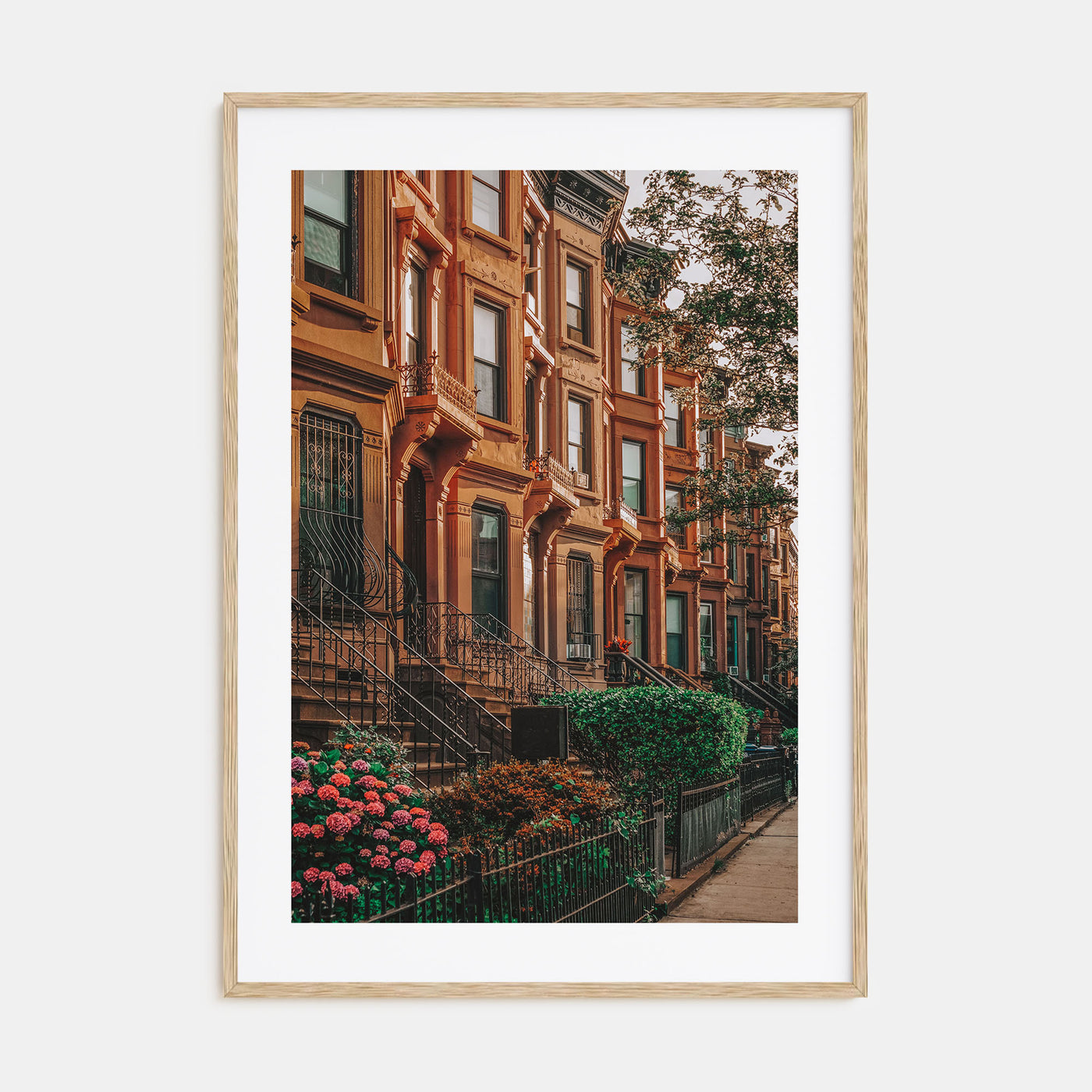 Bedford-Stuyvesant Photo Color Poster