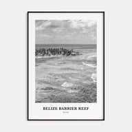 Belize Barrier Reef Portrait B&W Poster