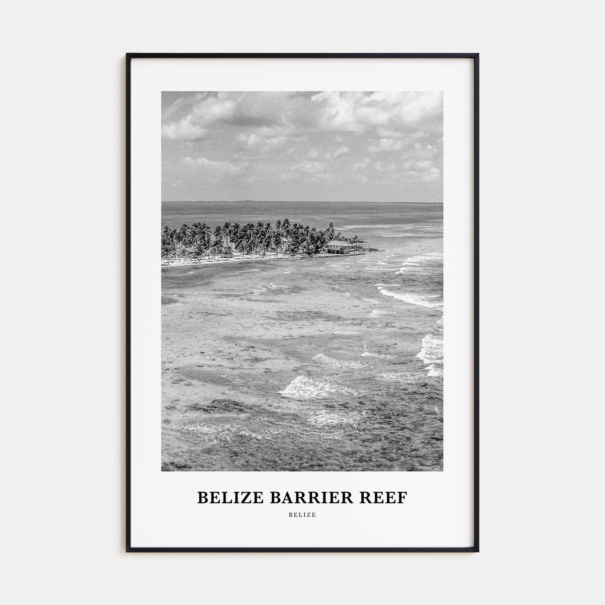 Belize Barrier Reef Portrait B&W Poster