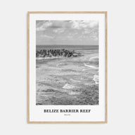Belize Barrier Reef Portrait B&W Poster