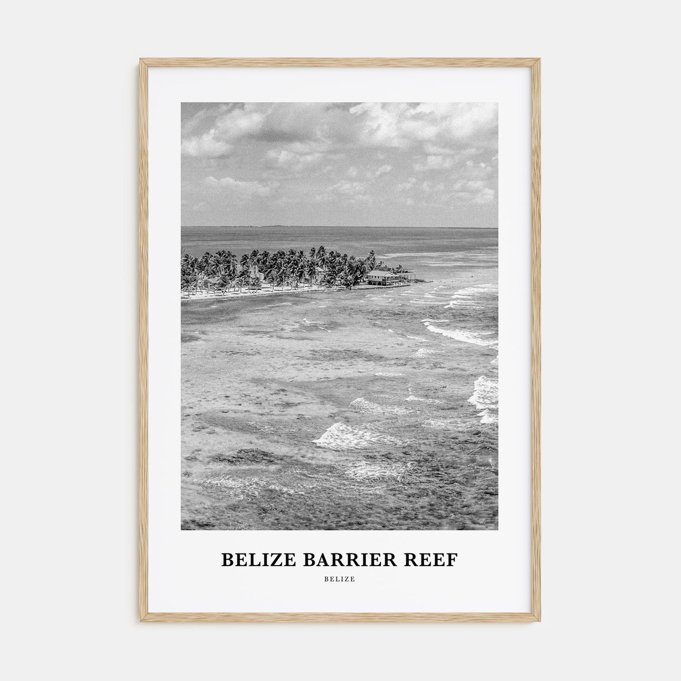 Belize Barrier Reef Portrait B&W Poster