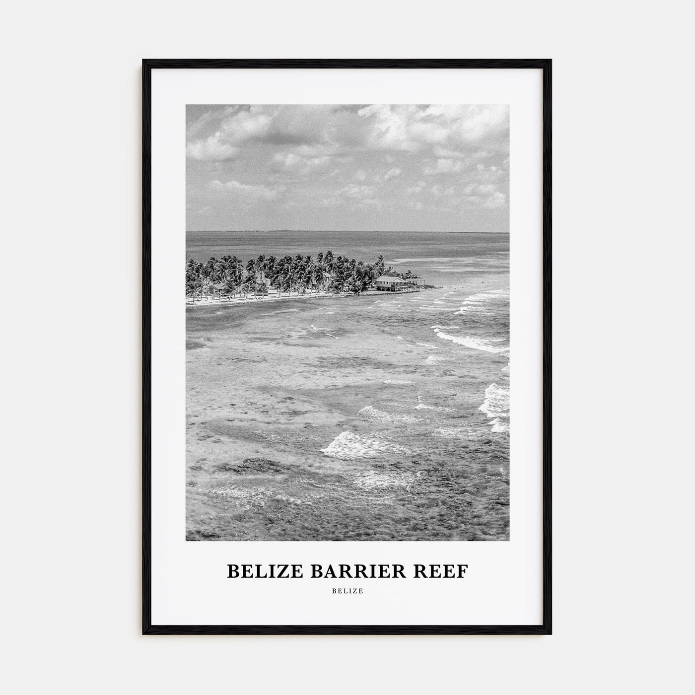 Belize Barrier Reef Portrait B&W Poster