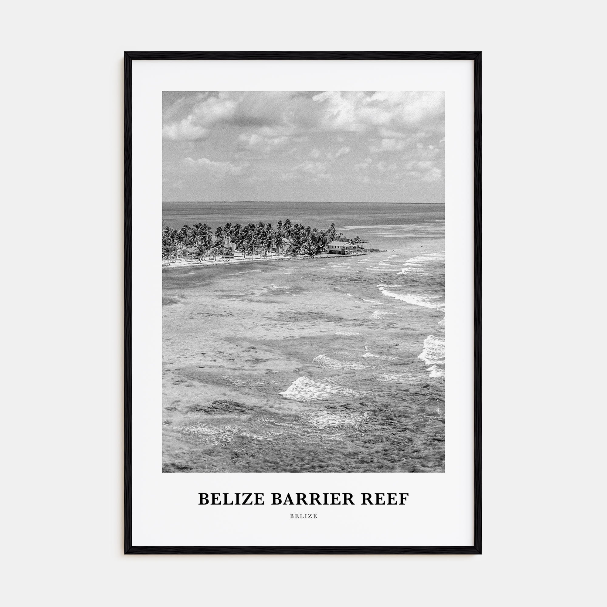 Belize Barrier Reef Portrait B&W Poster