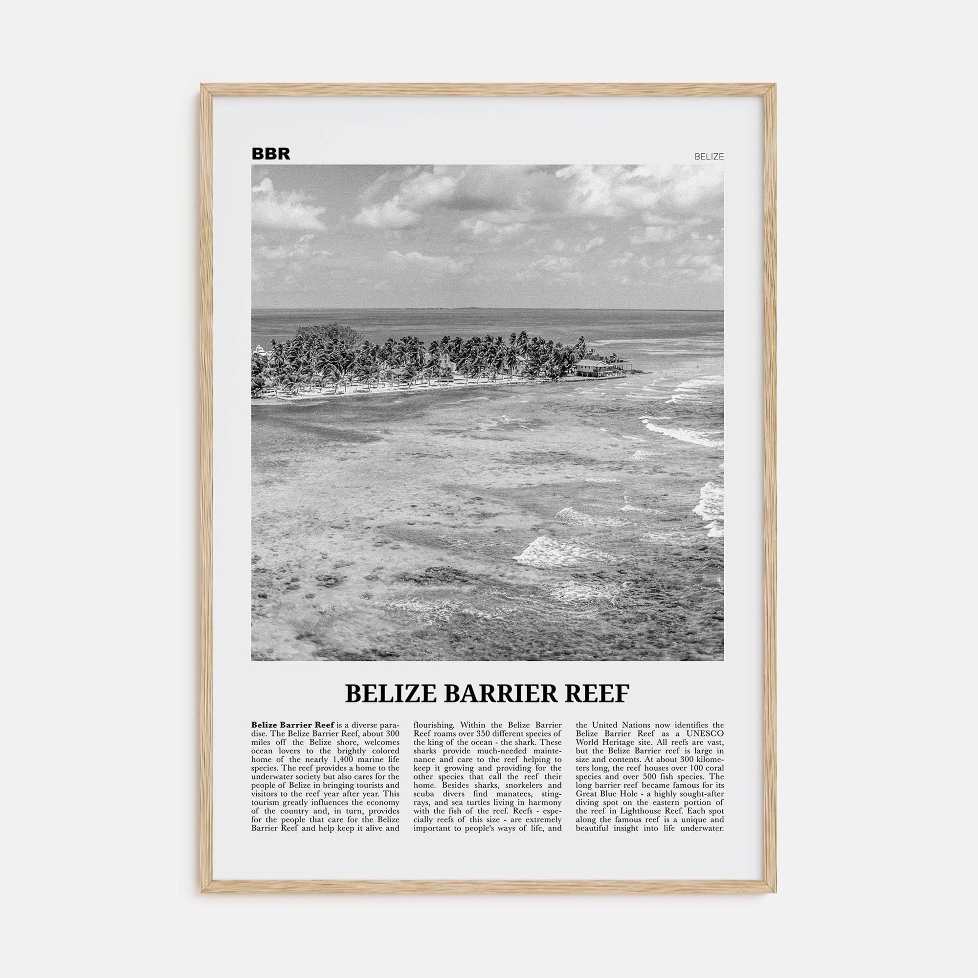 Belize Barrier Reef Travel B&W Poster