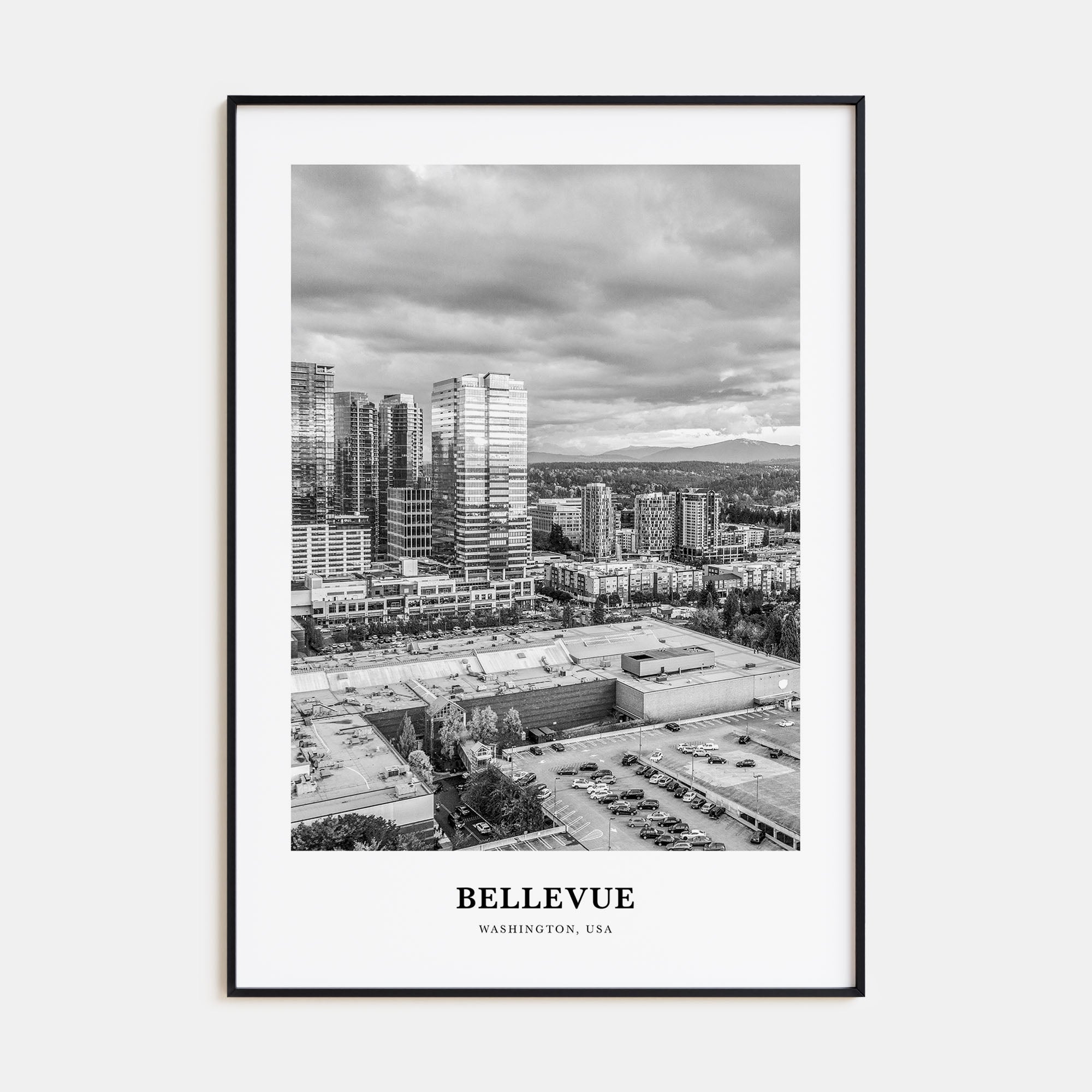Bellevue Portrait B&W No 2 Poster