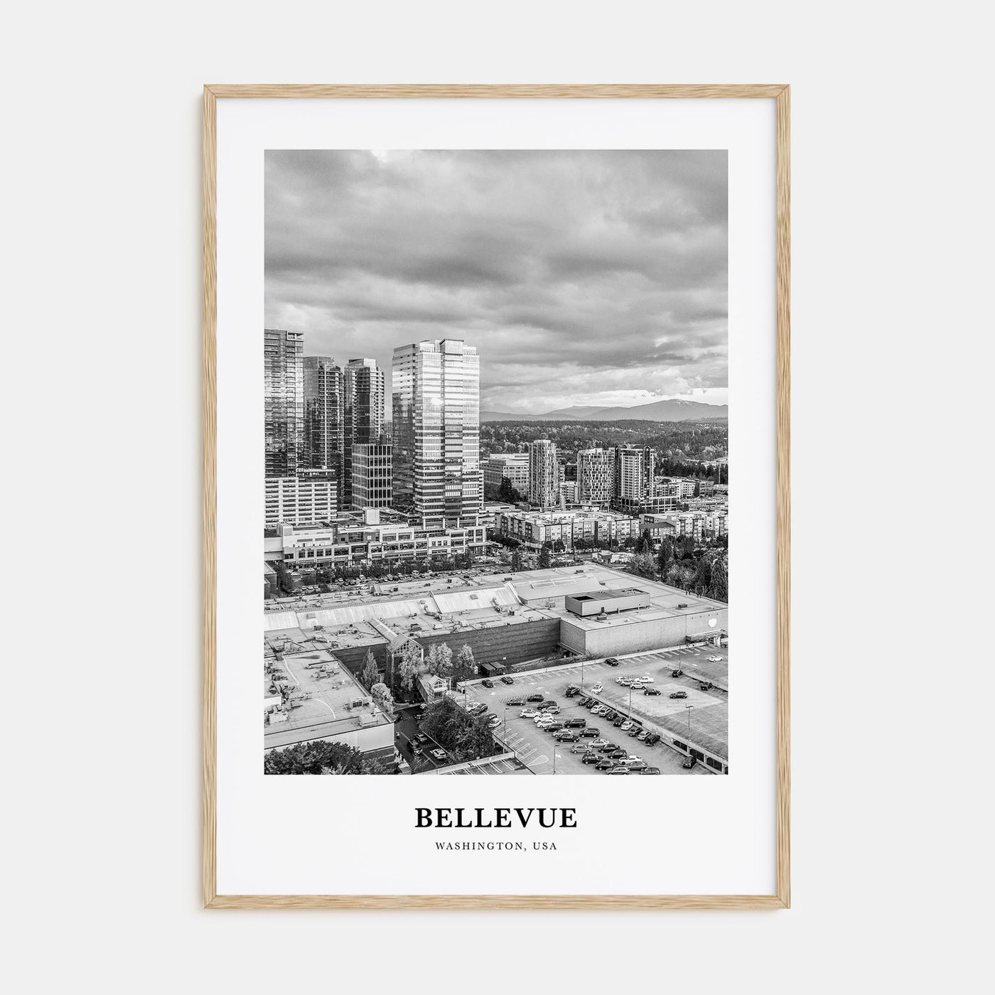 Bellevue Portrait B&W No 2 Poster