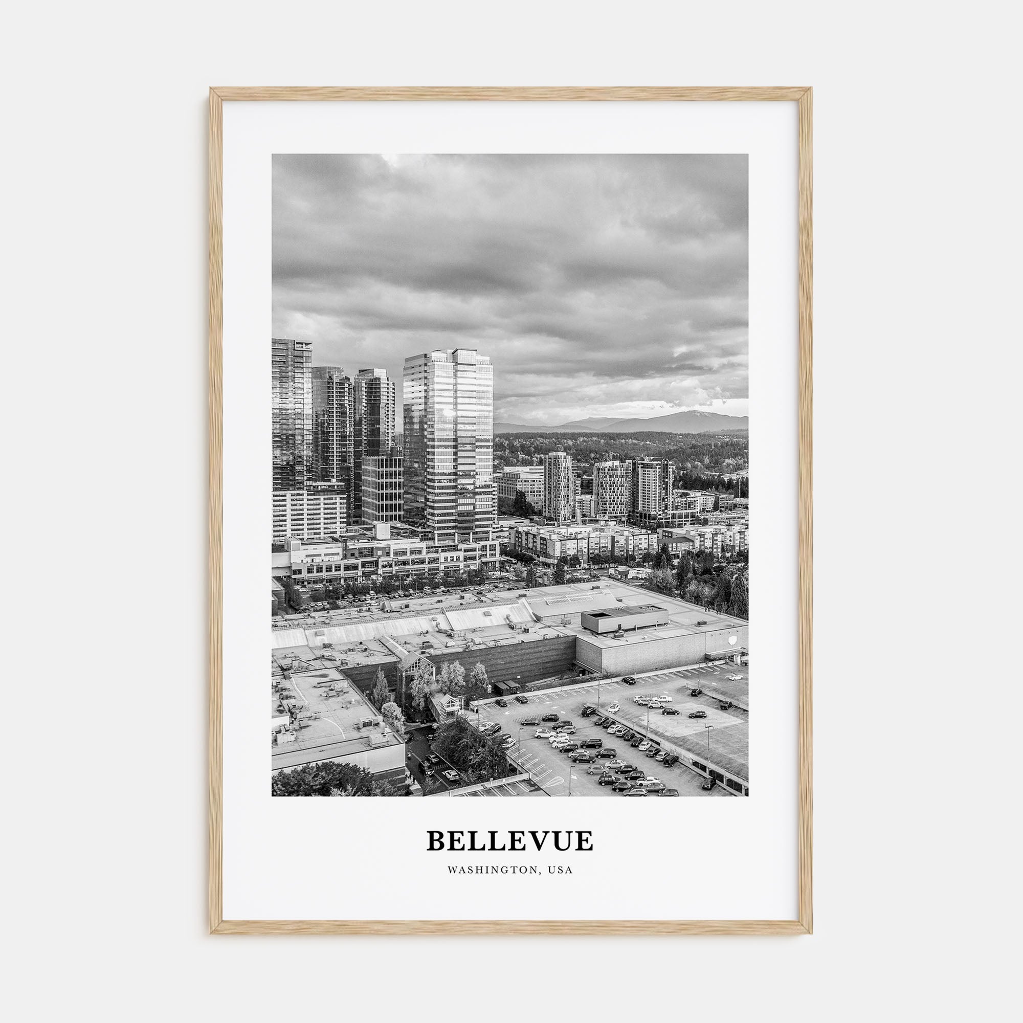 Bellevue Portrait B&W No 2 Poster