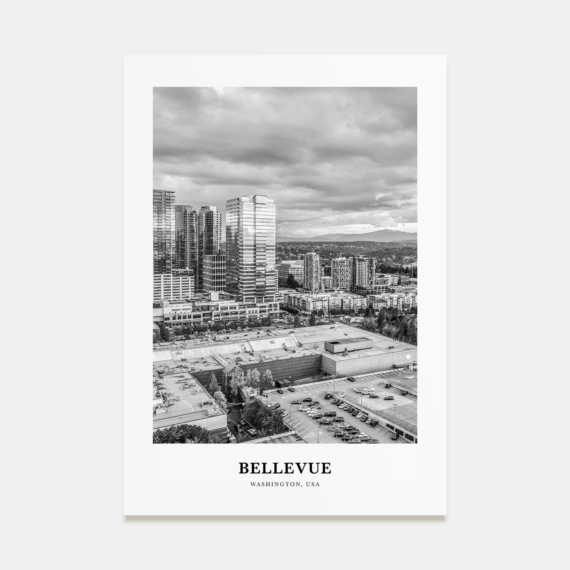 Bellevue Portrait B&W No 2 Poster