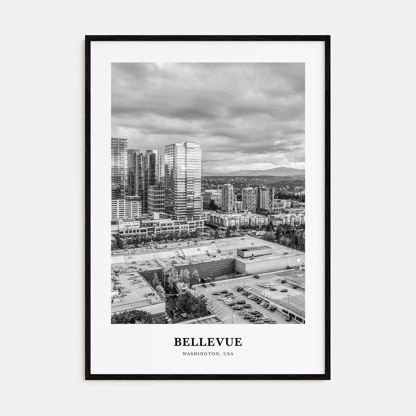 Bellevue Portrait B&W No 2 Poster