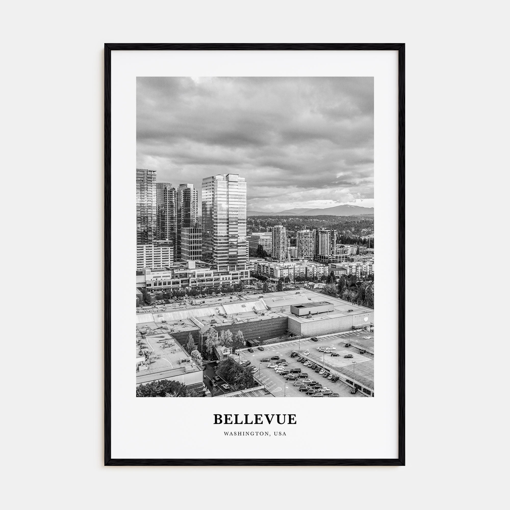 Bellevue Portrait B&W No 2 Poster