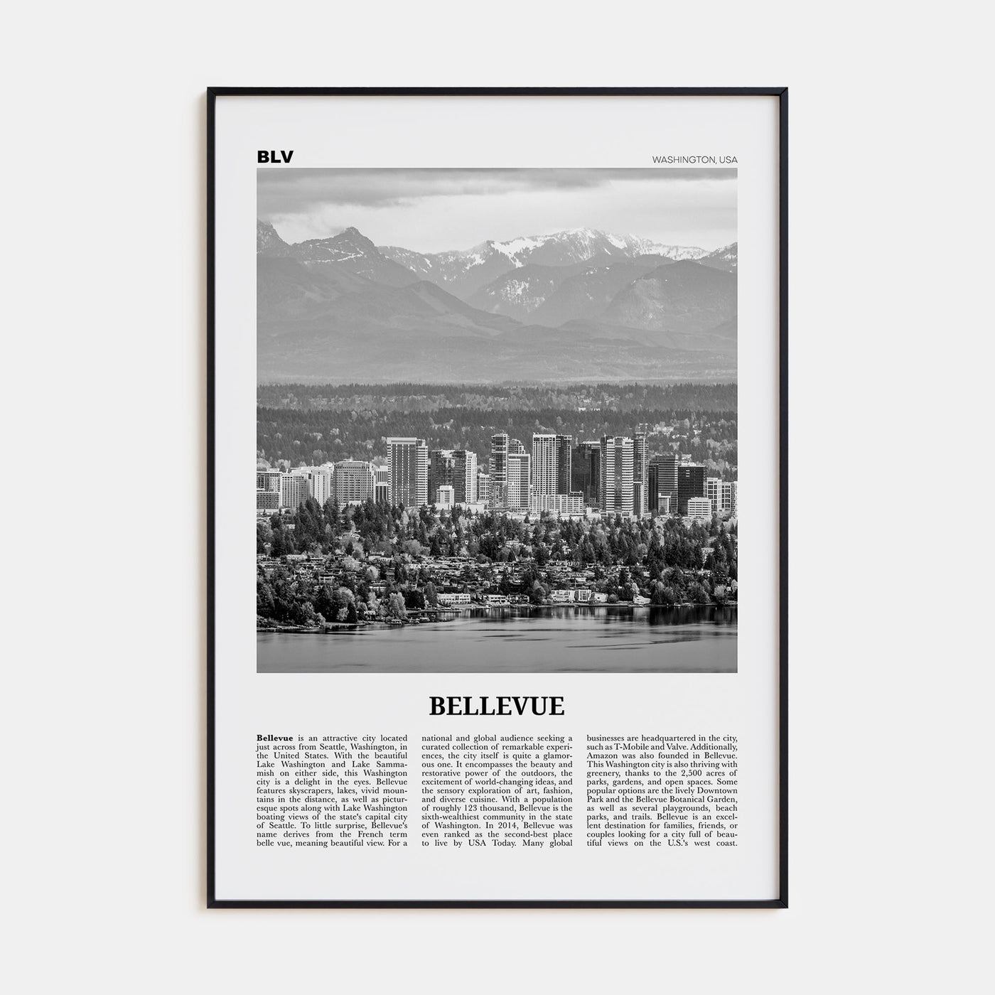 Bellevue Travel B&W No 1 Poster