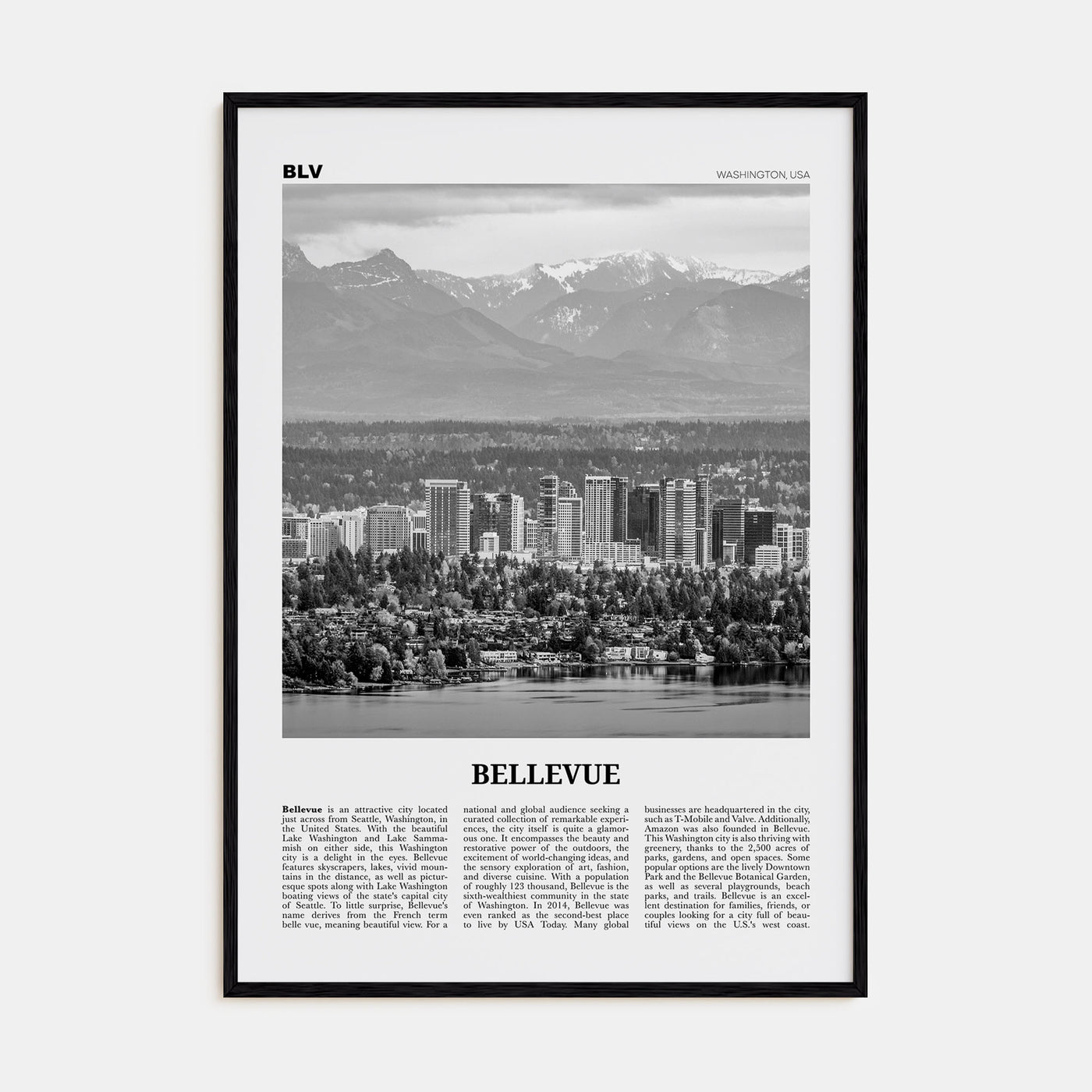 Bellevue Travel B&W No 1 Poster