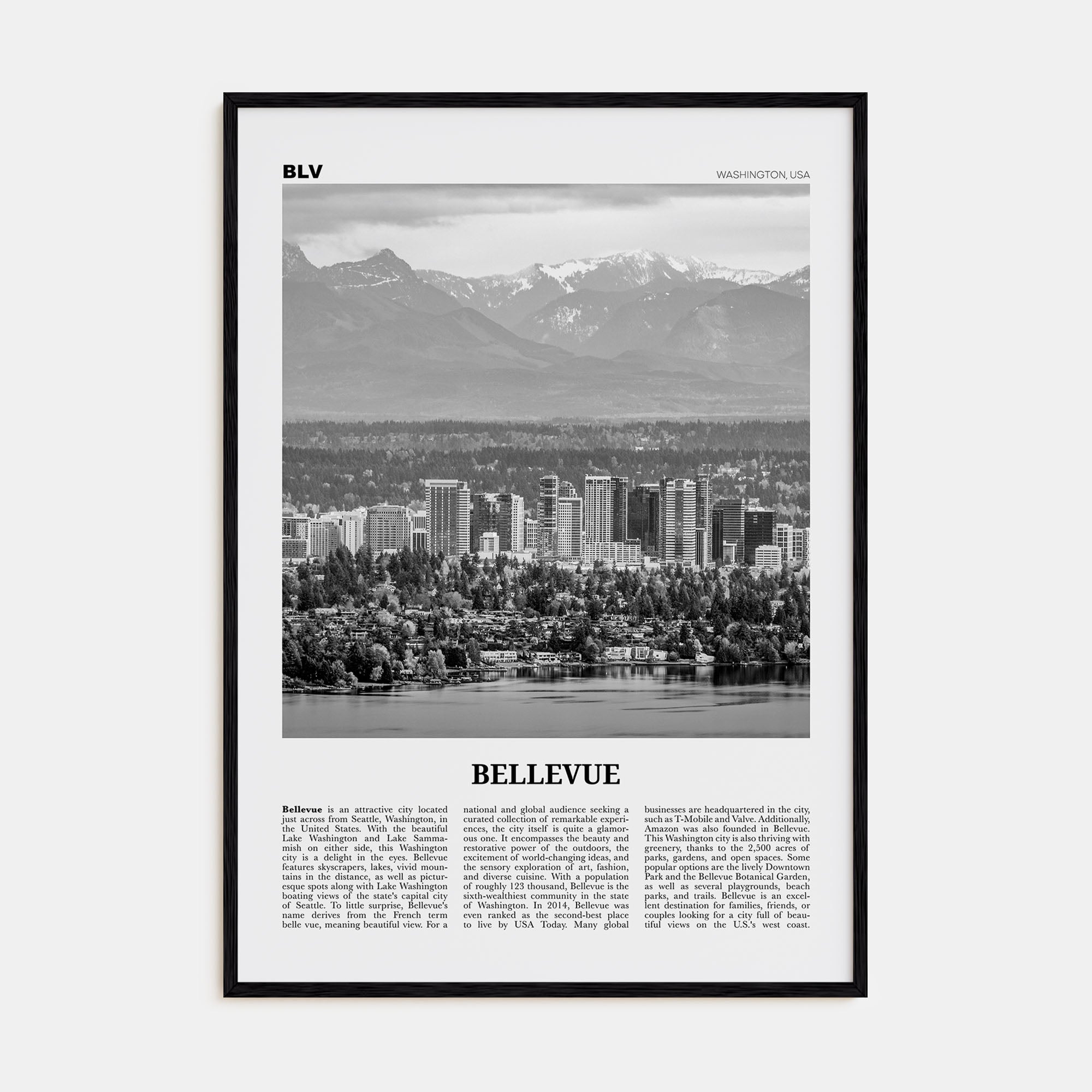 Bellevue Travel B&W No 1 Poster
