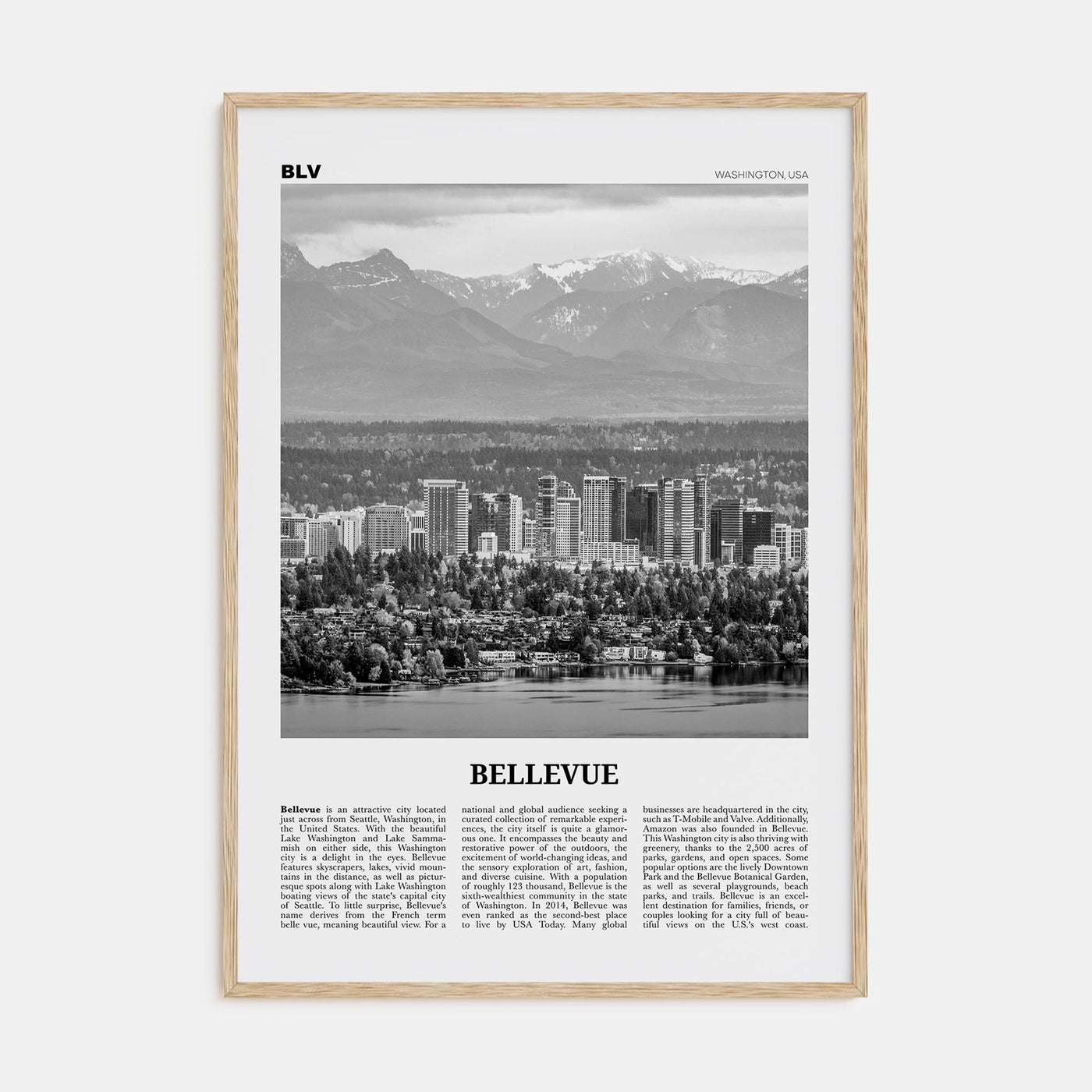 Bellevue Travel B&W No 1 Poster