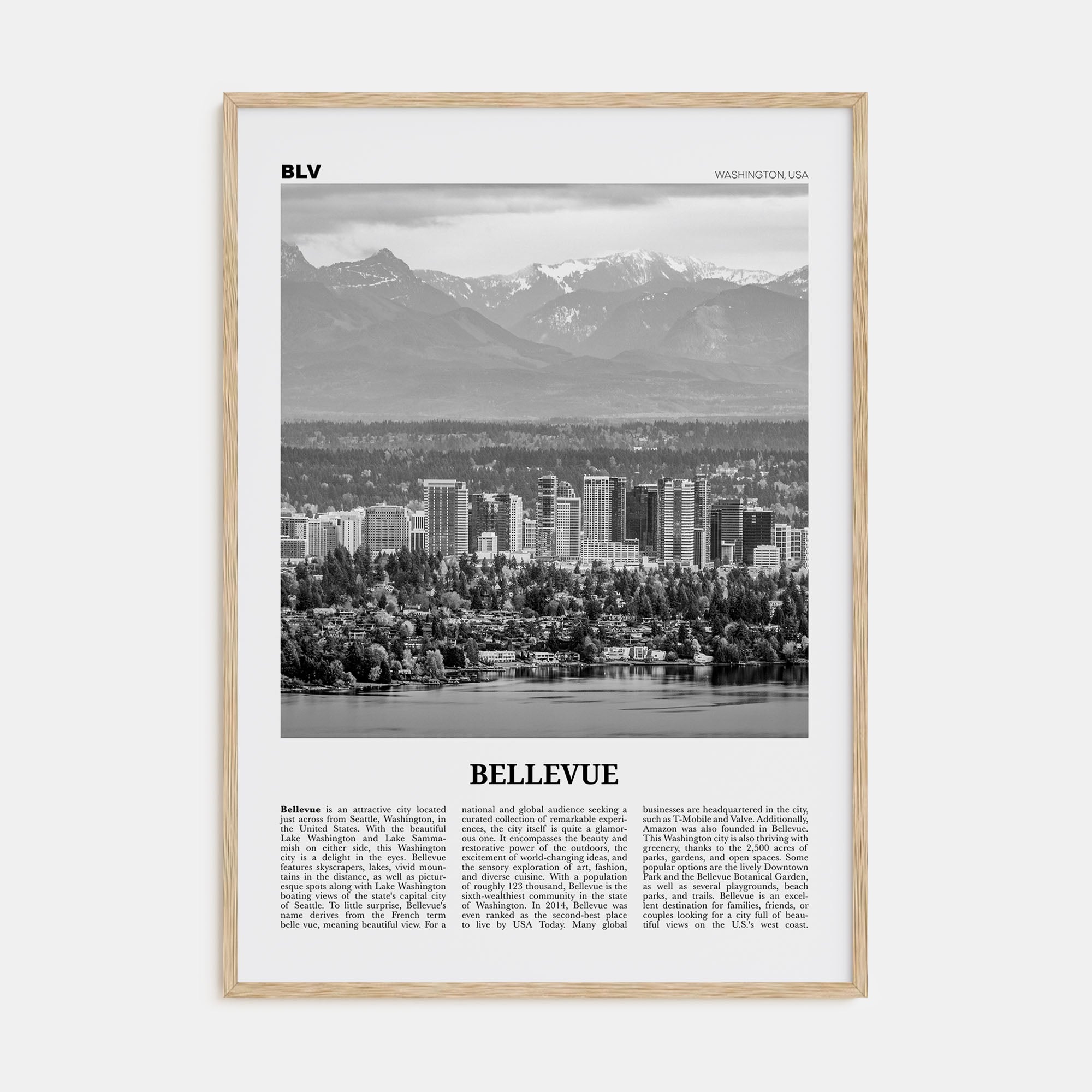 Bellevue Travel B&W No 1 Poster