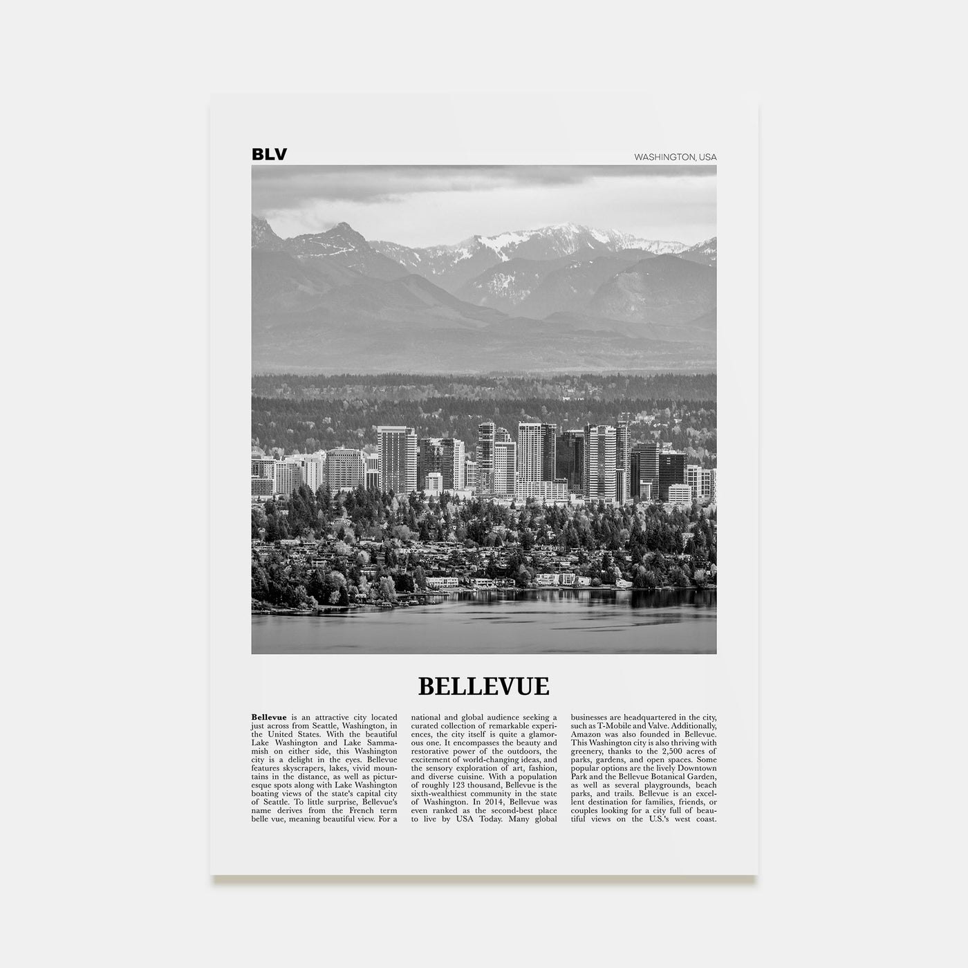 Bellevue Travel B&W No 1 Poster