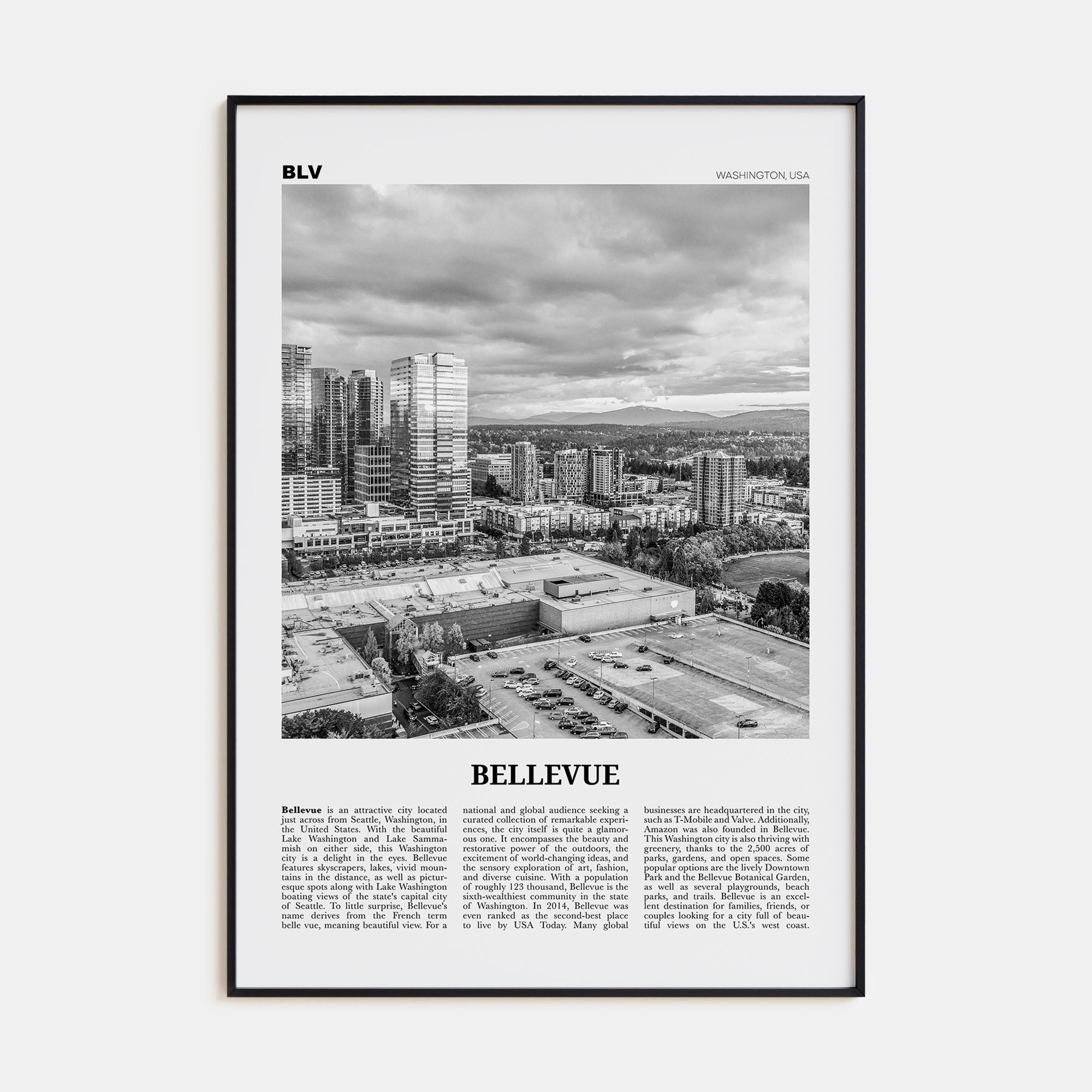 Bellevue Travel B&W No 2 Poster